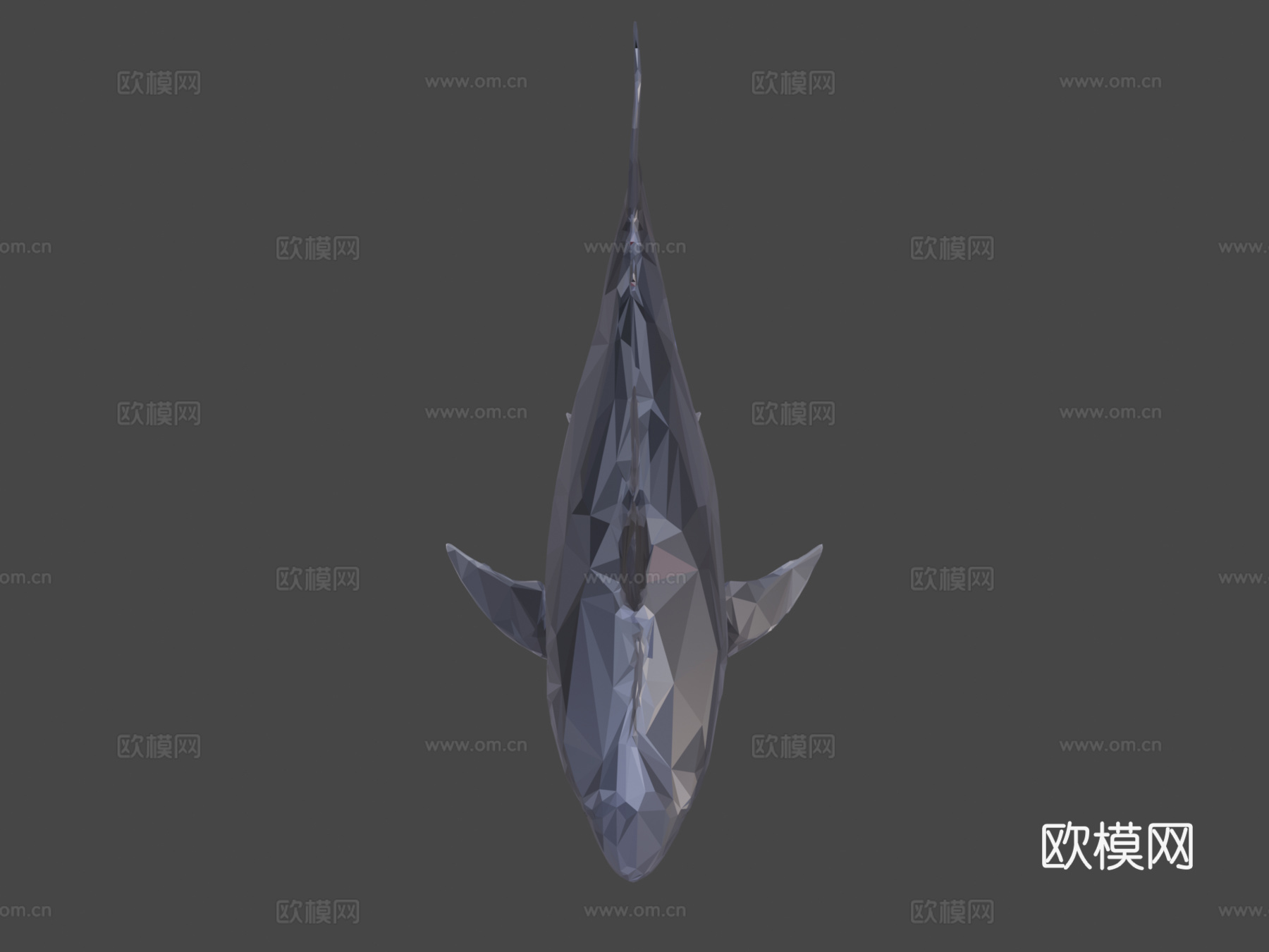 鲨鱼低多边形艺术海洋鱼3d模型