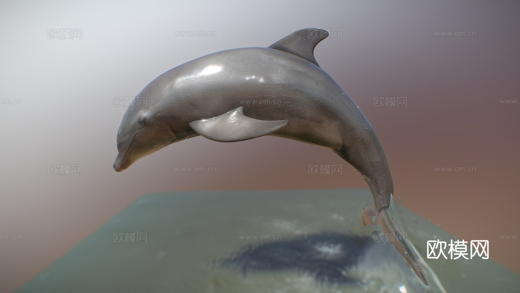 海豚3d模型