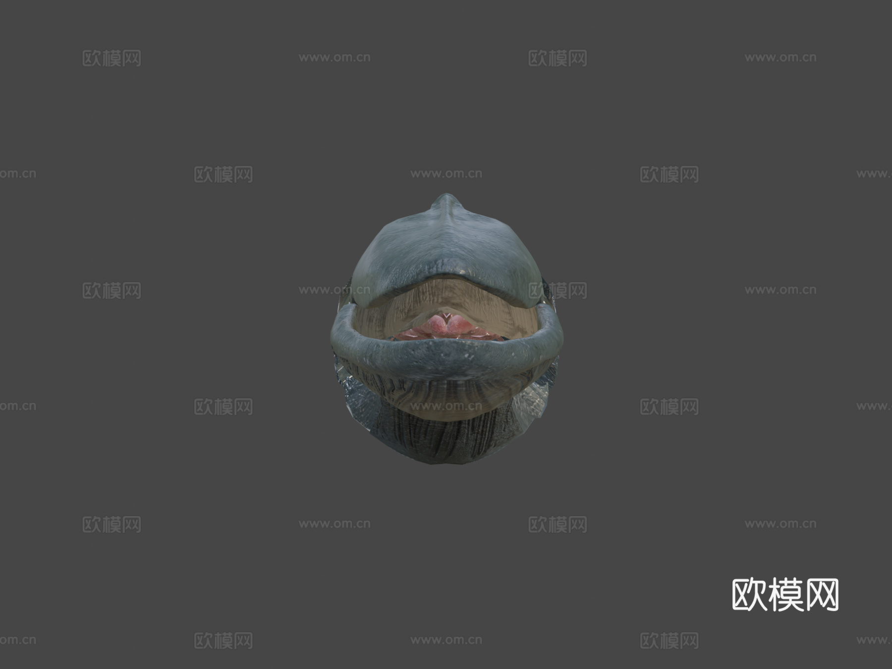 蓝鲸3d模型