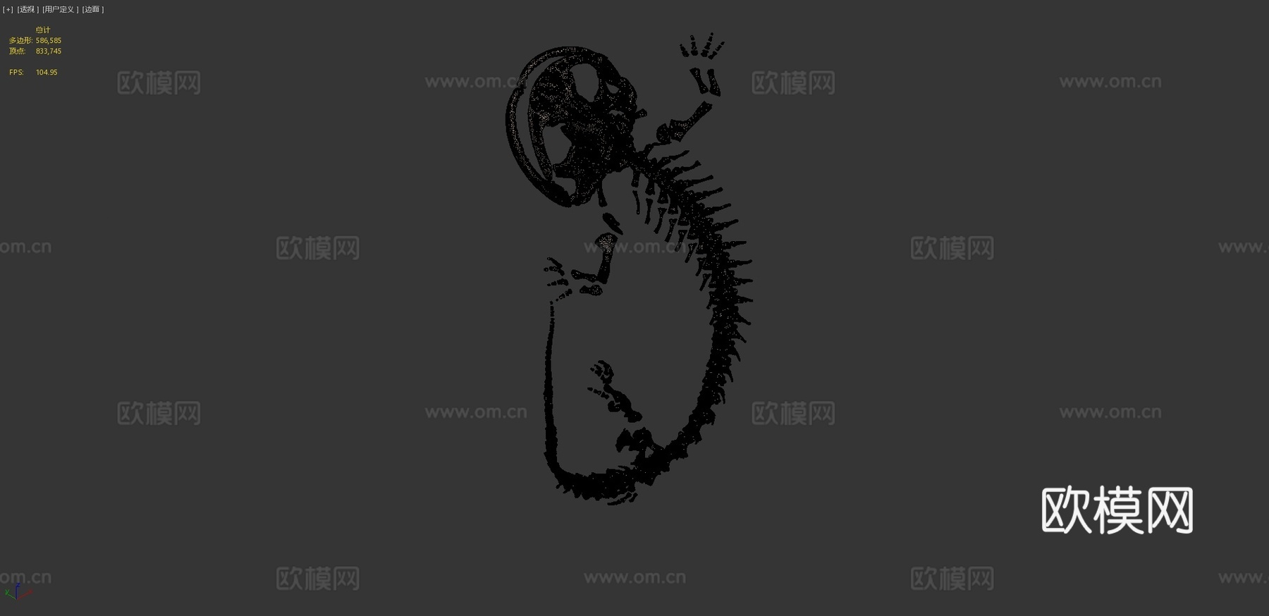 日本大鲵FMNH313563d模型