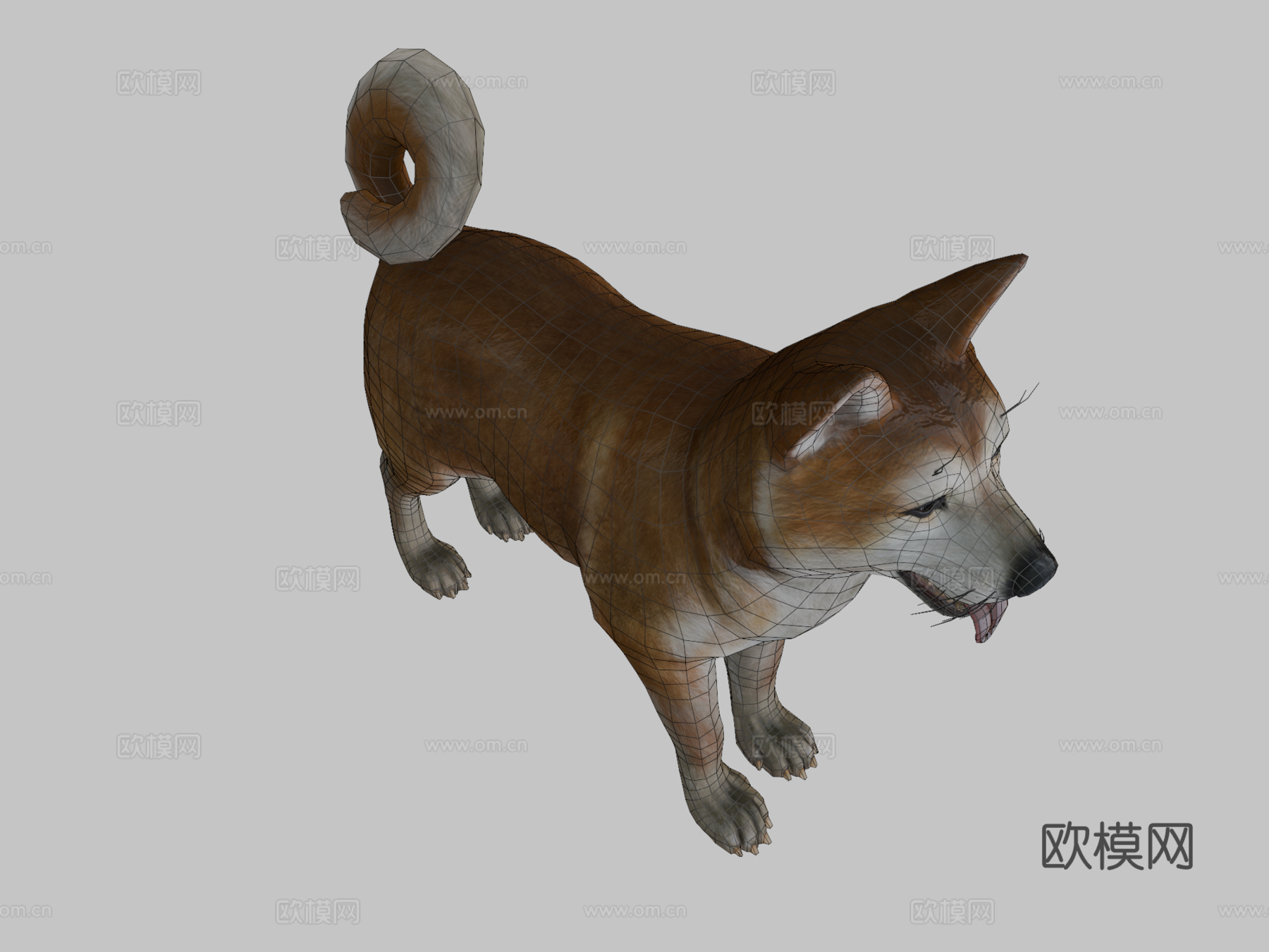 犬-秋田犬3d模型