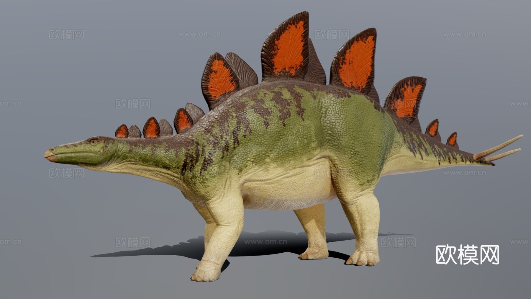剑龙3d模型