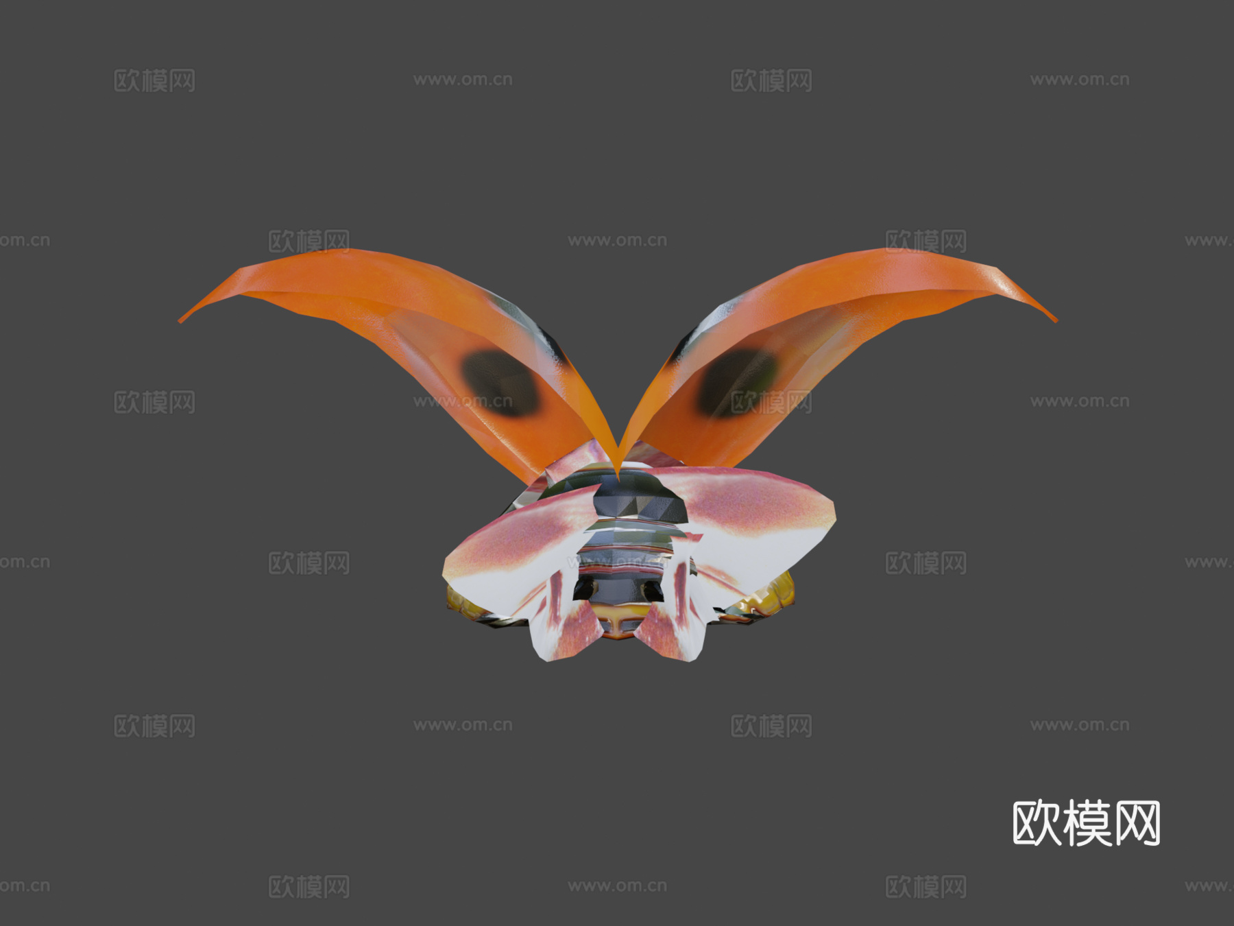 动画瓢虫3d模型