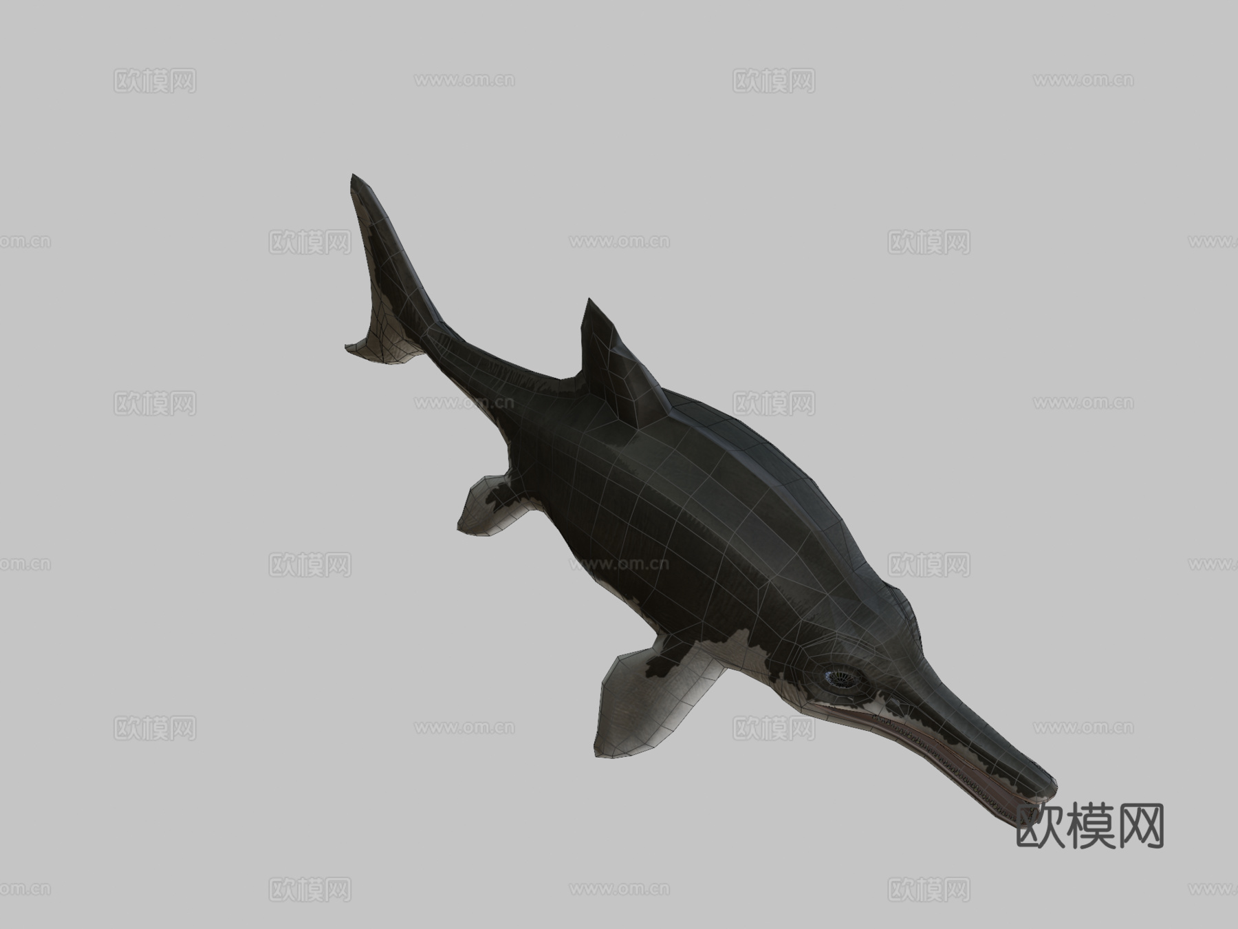 鱼龙3d模型