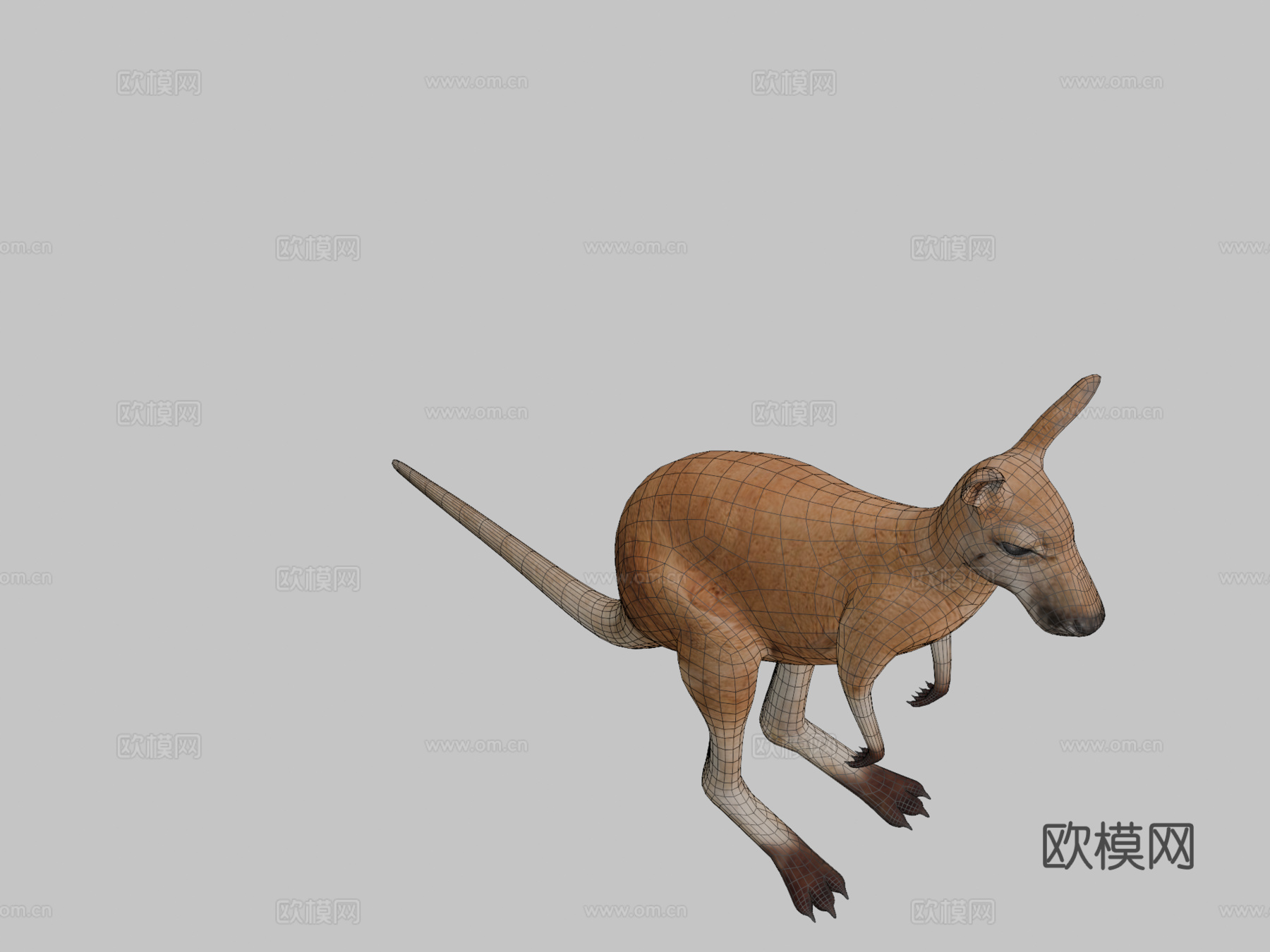 袋鼠3d模型