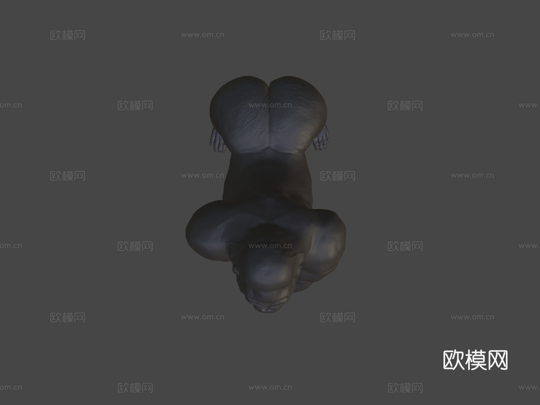 大猩猩金刚3d模型