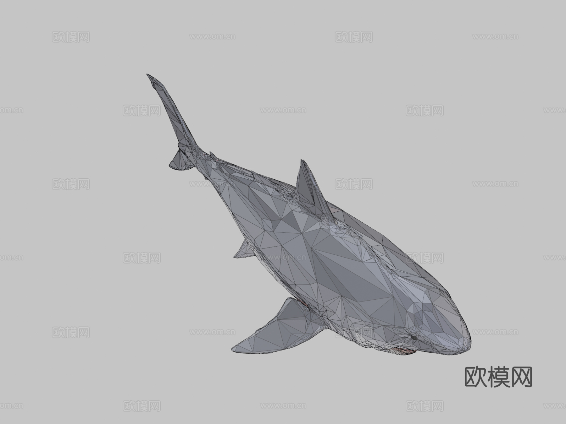 鲨鱼低多边形艺术海洋鱼3d模型
