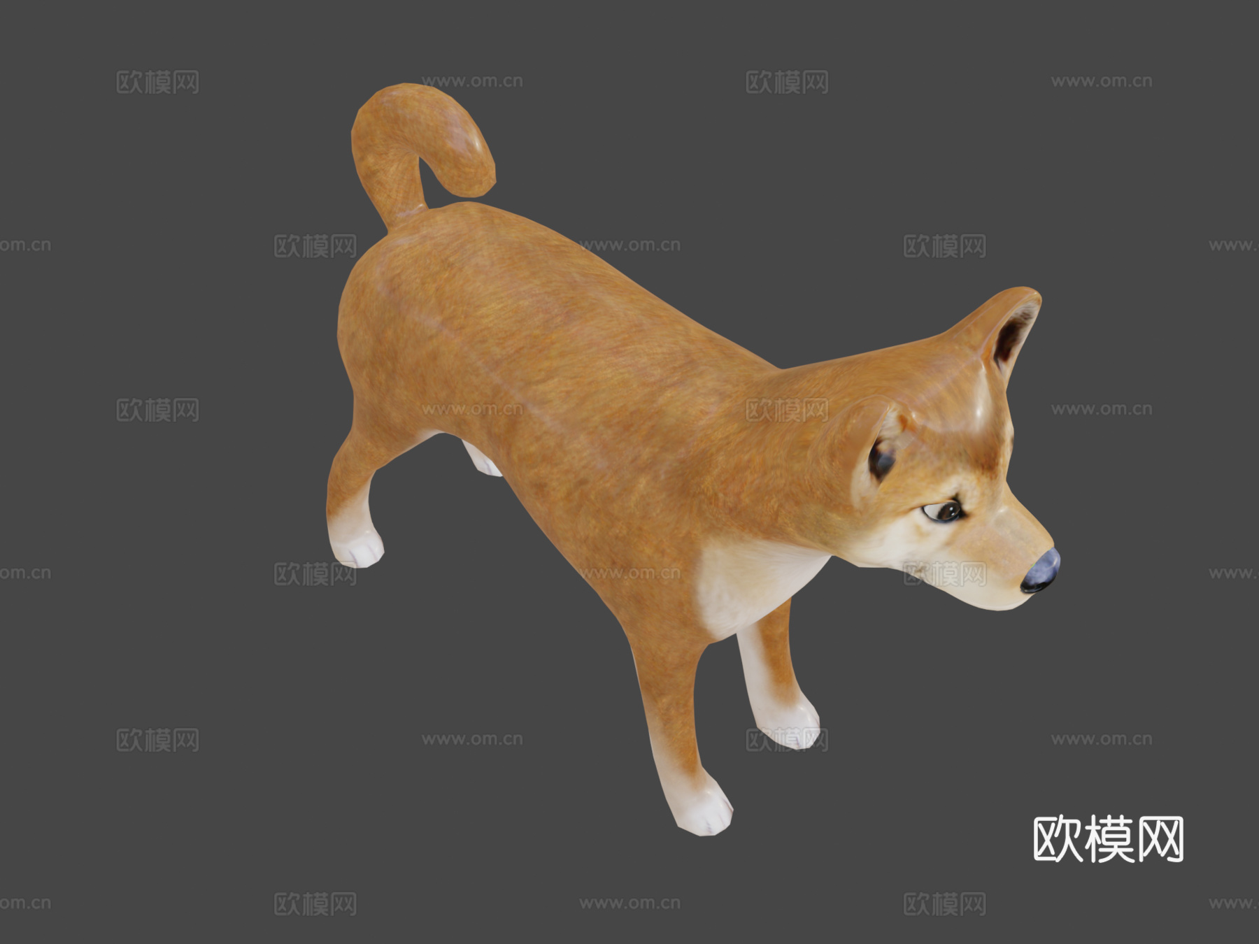 狗狗币3d模型3d模型