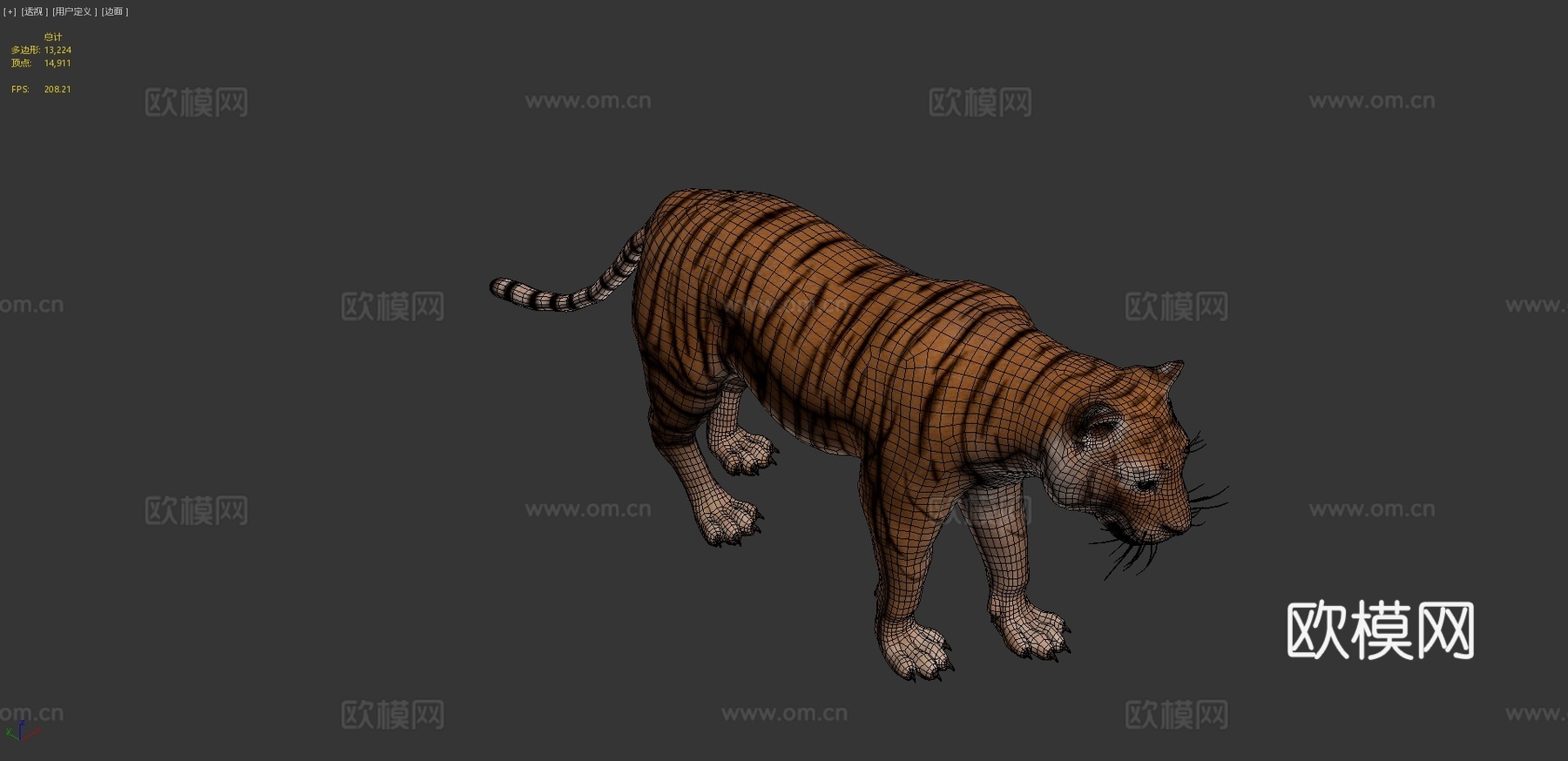 老虎3d模型