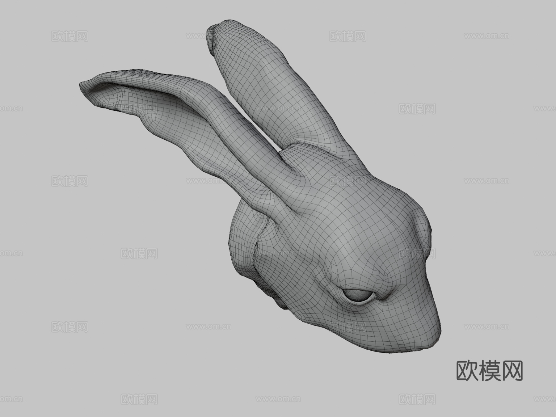 欧洲野兔3d模型