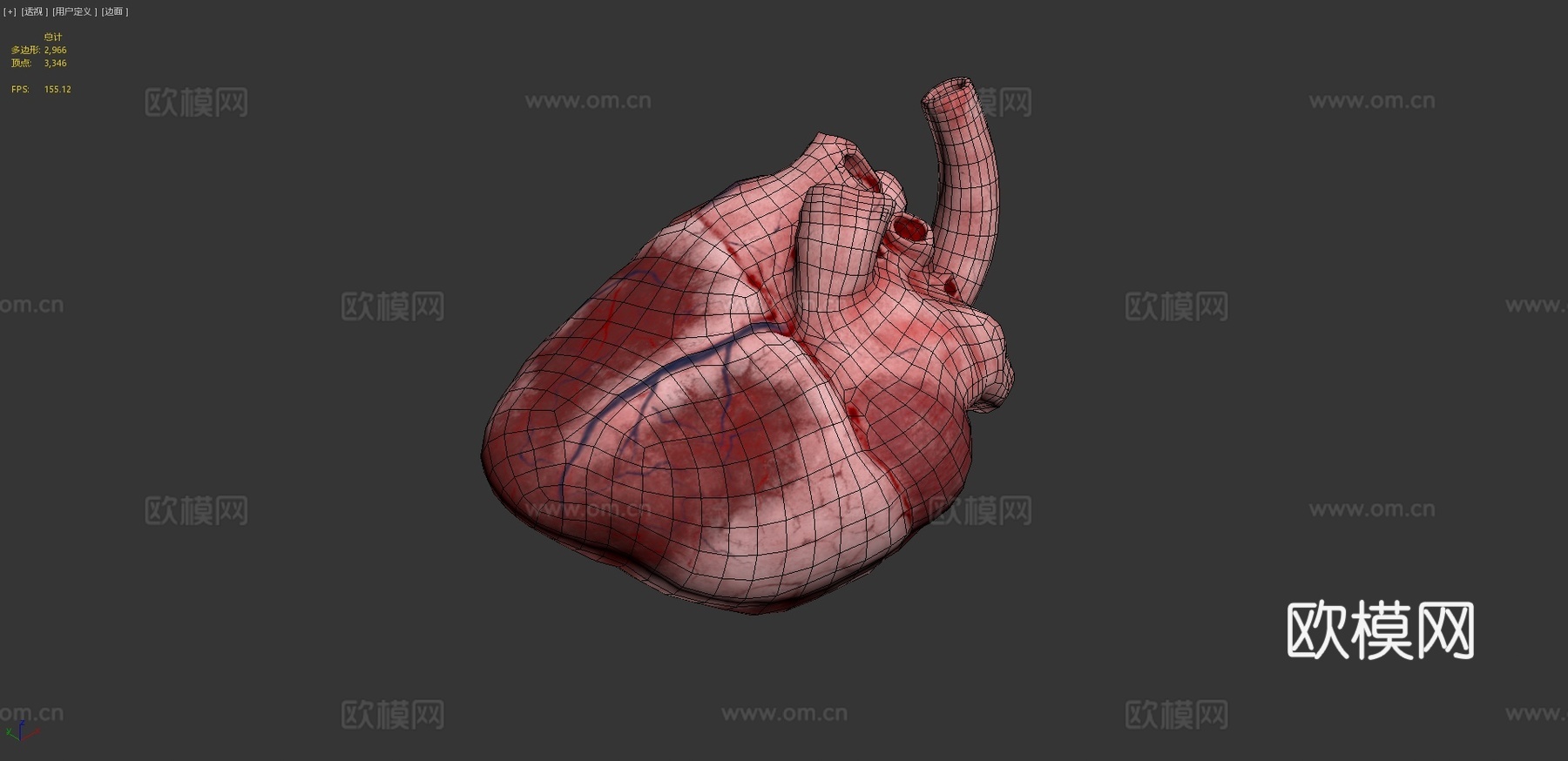 牛心3d模型