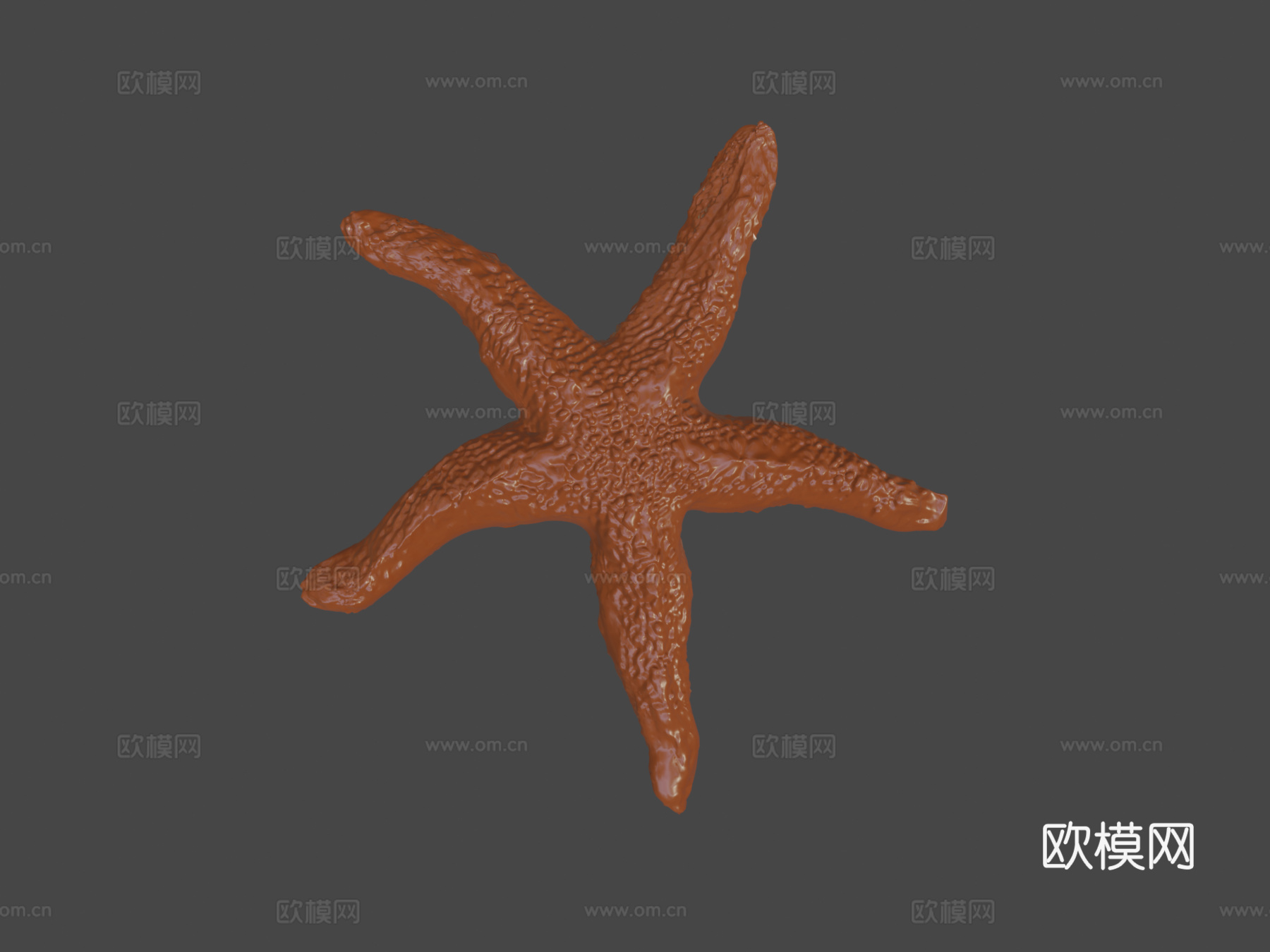 海星3d模型