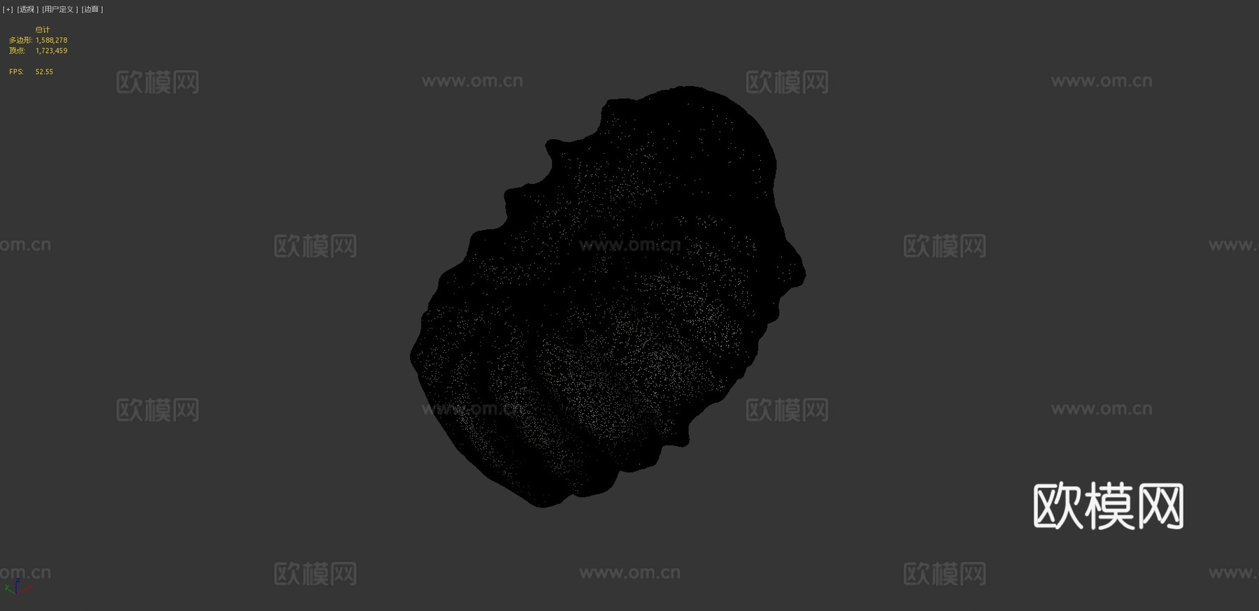 罗托马根刺角菊石3d模型