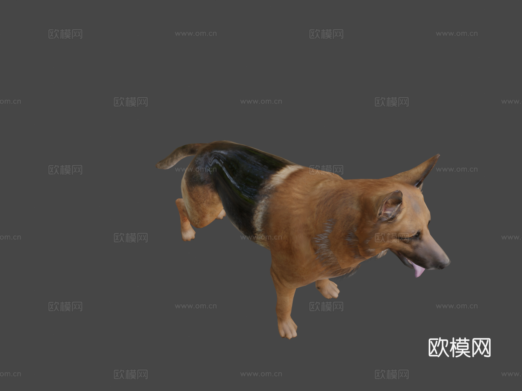 狗3d模型