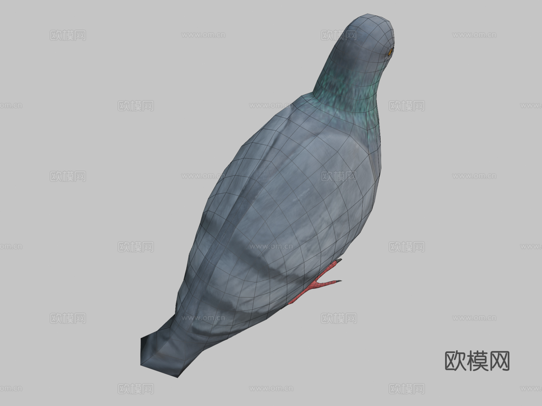 鸽子-3D模型-3d模型