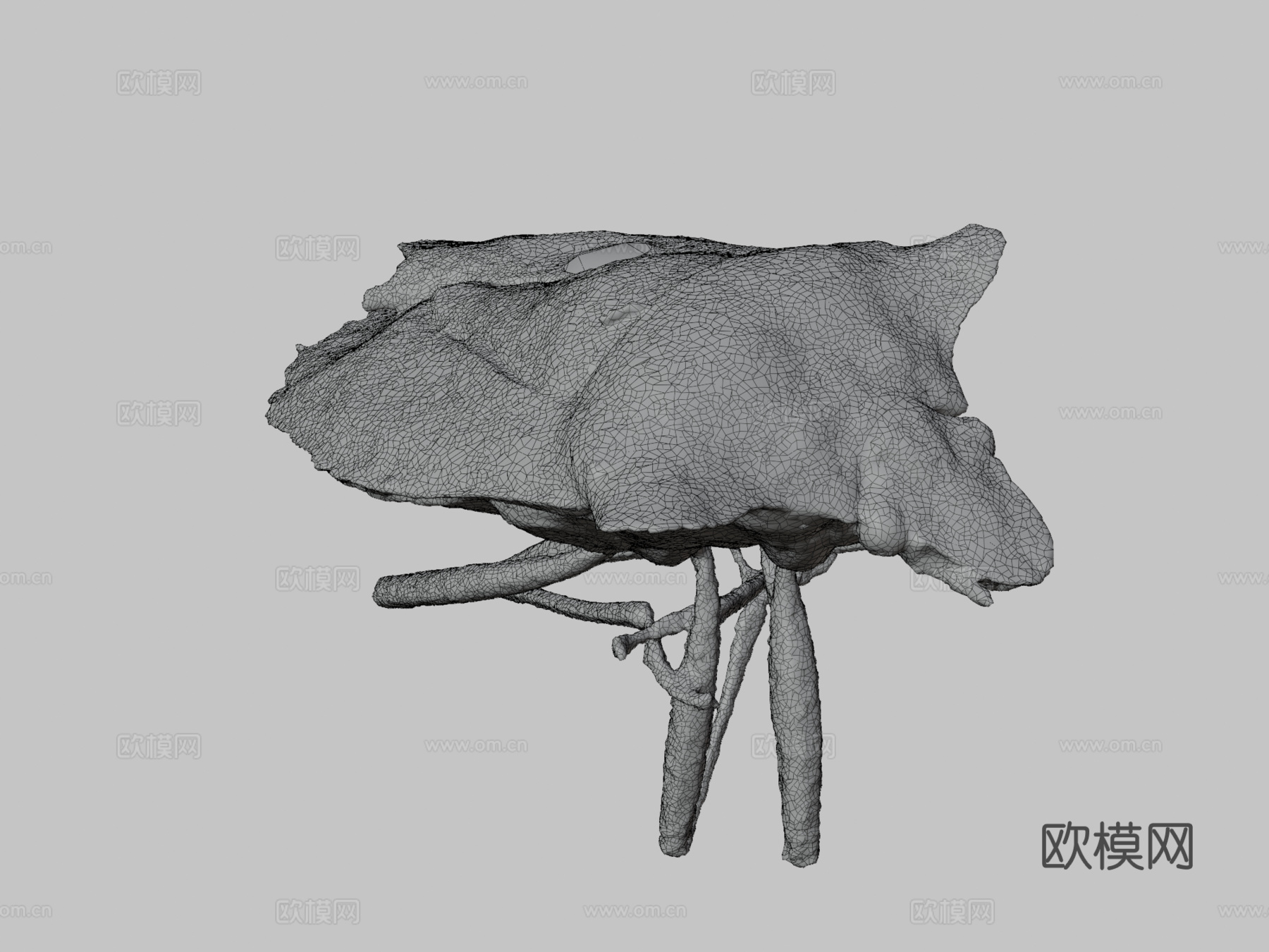 异翅目-宏观摄影测量3d模型