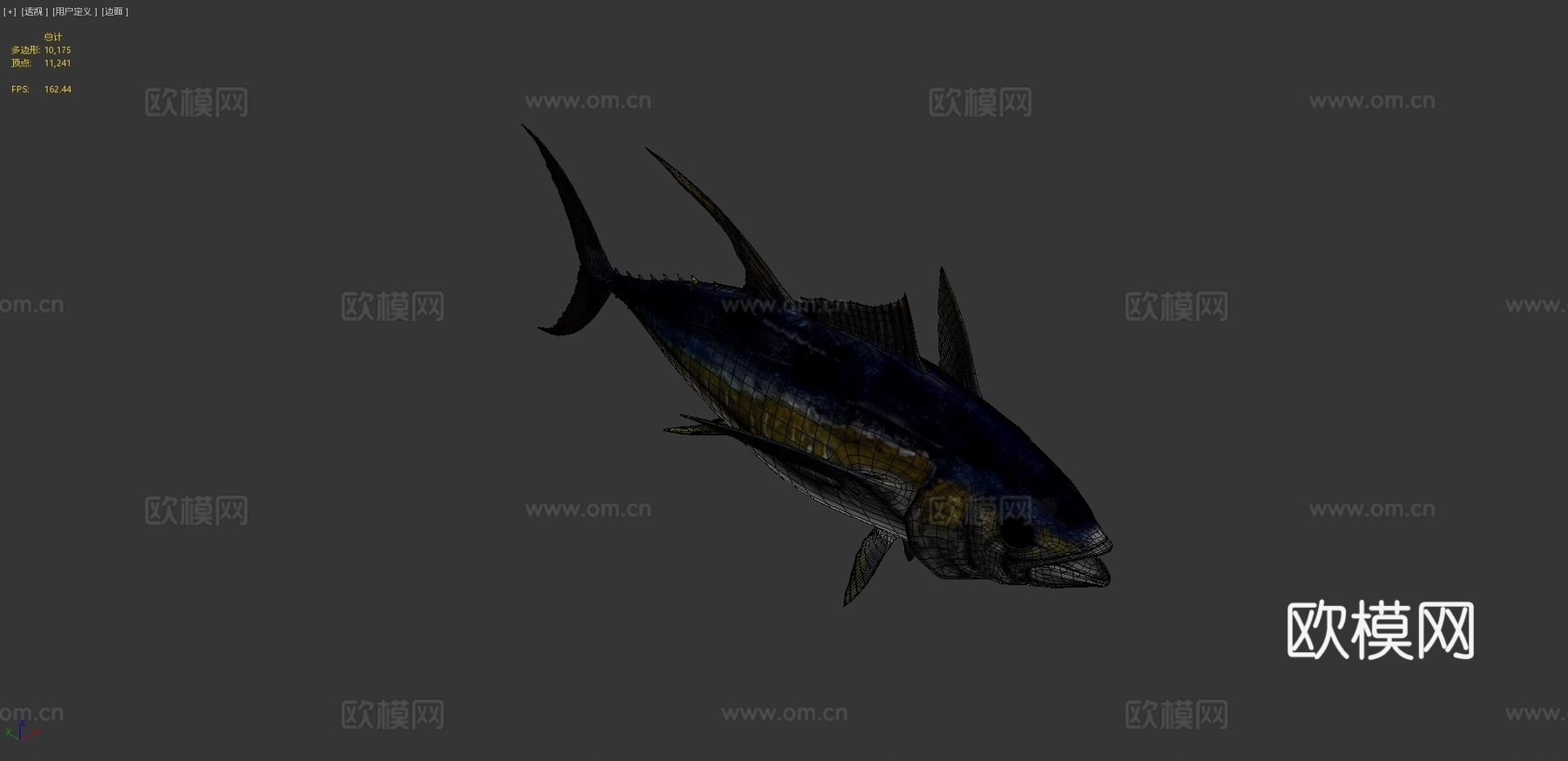 黄鳍金枪鱼3d模型