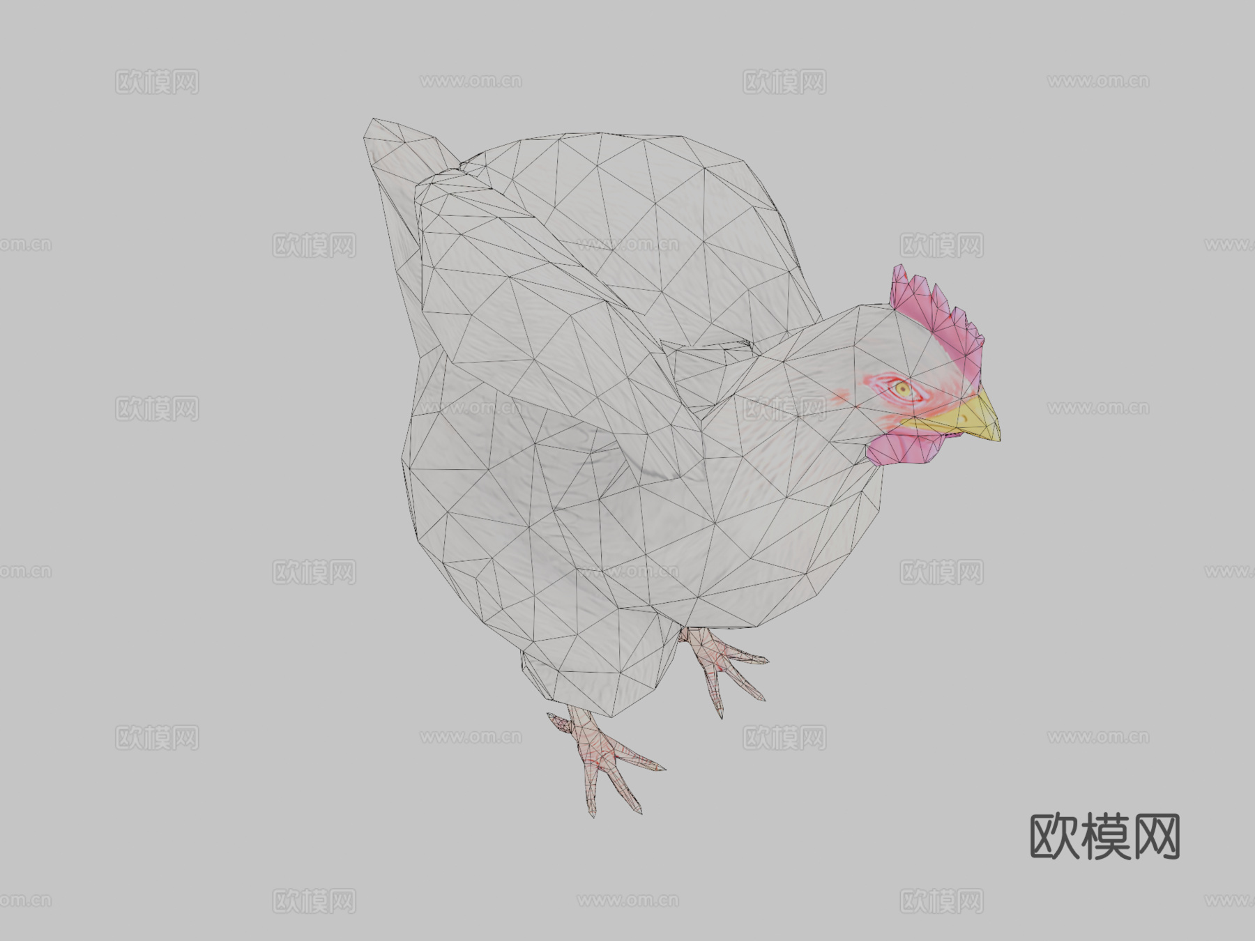 动画鸡3d模型