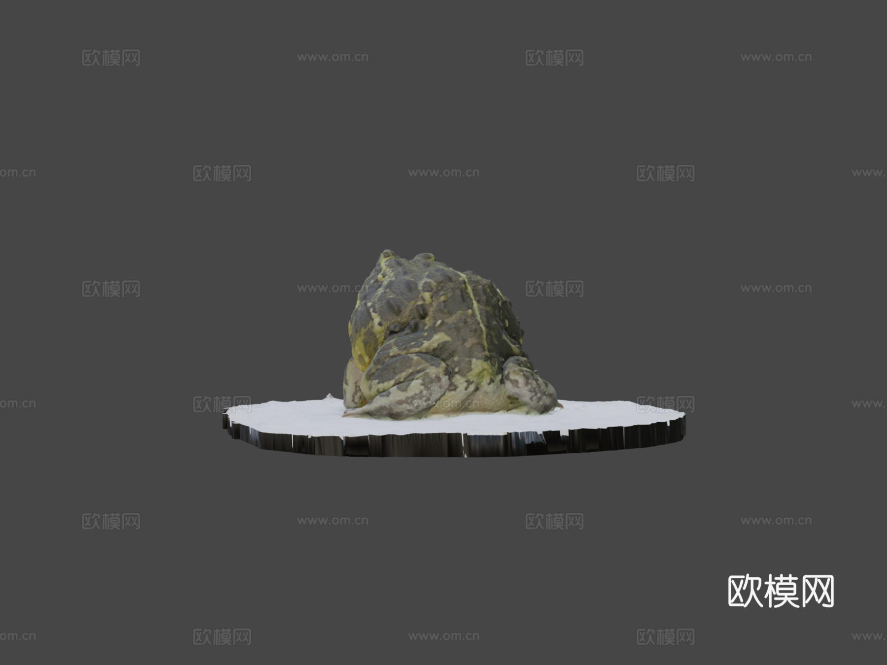 号模型-精灵蛙3d模型