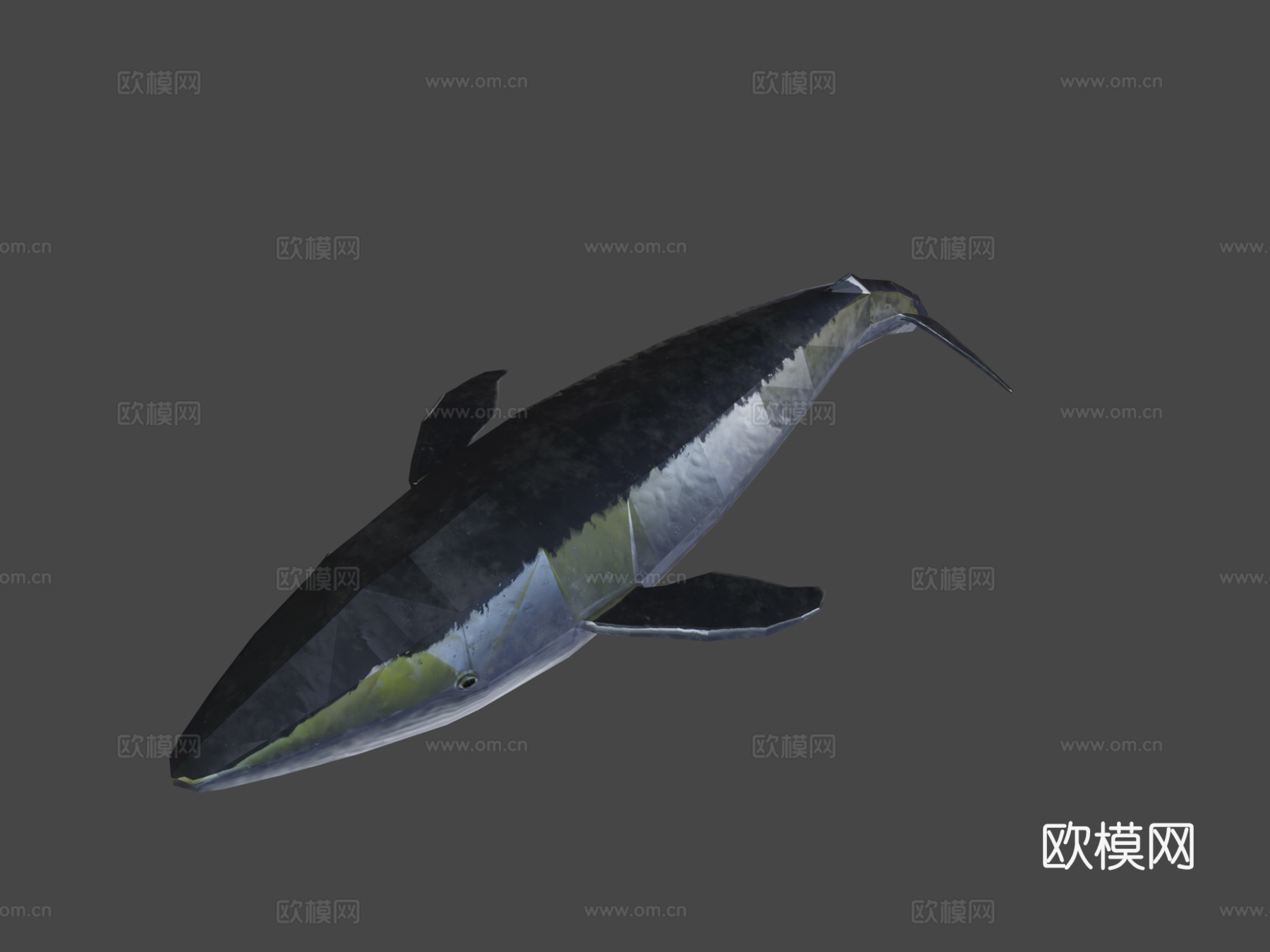 绑定蓝鲸3d模型