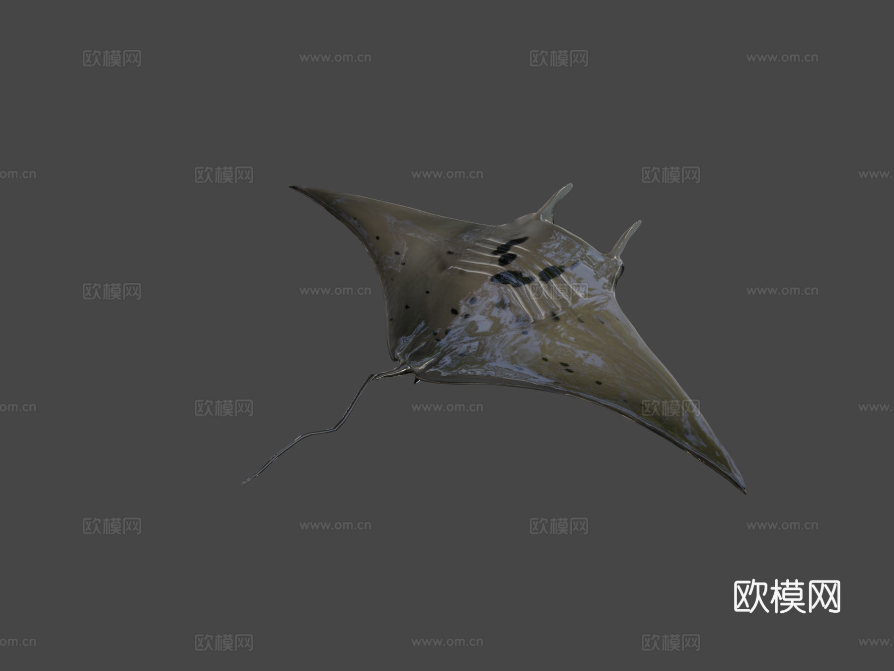 蝠鲼3d模型