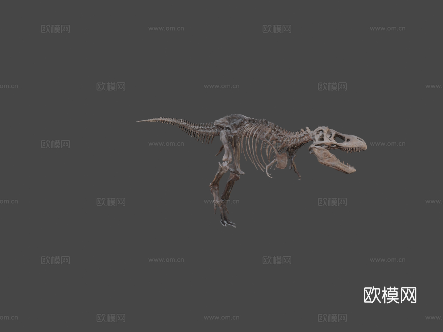霸王龙3d模型