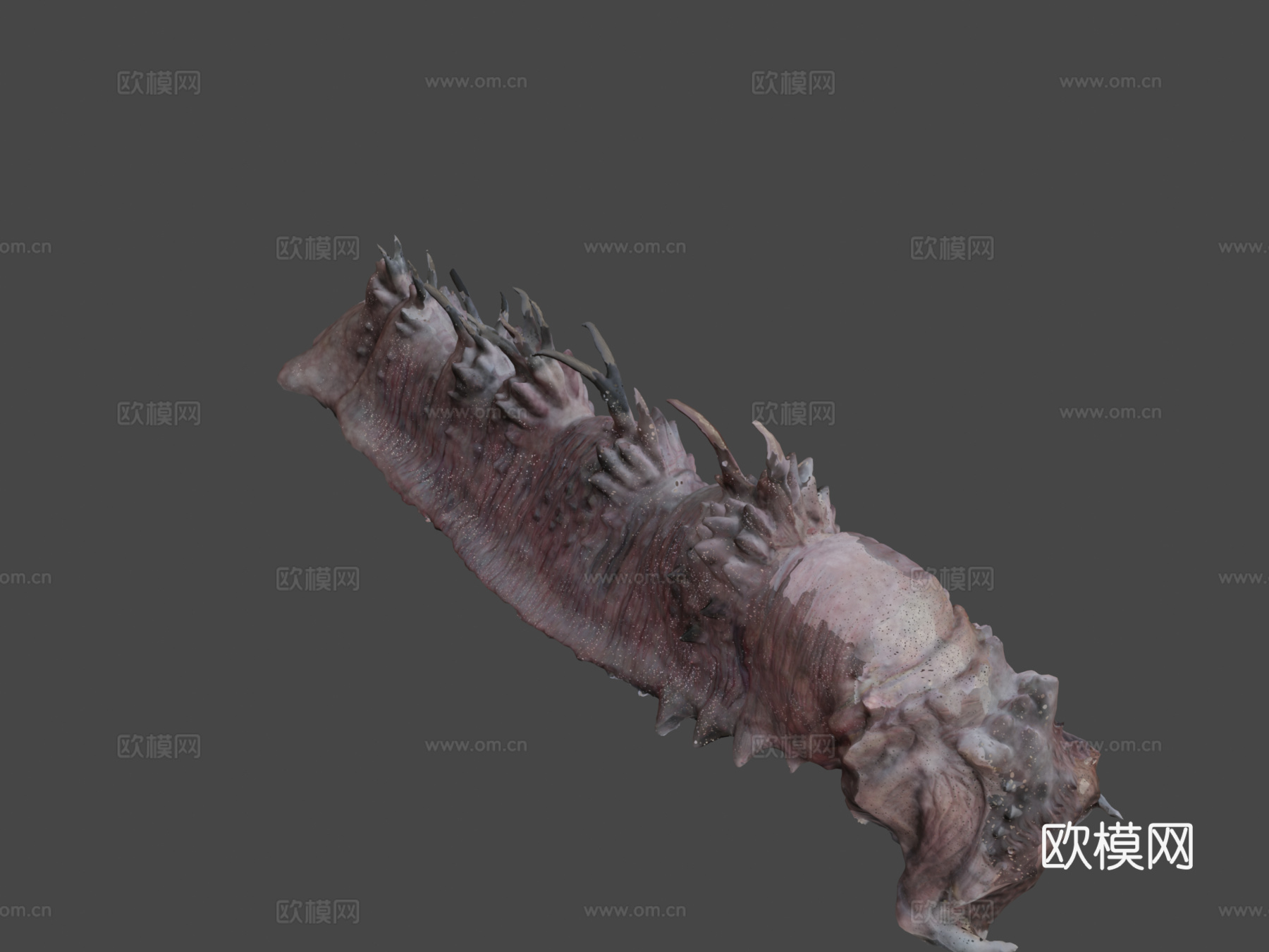外星蠕虫33d模型