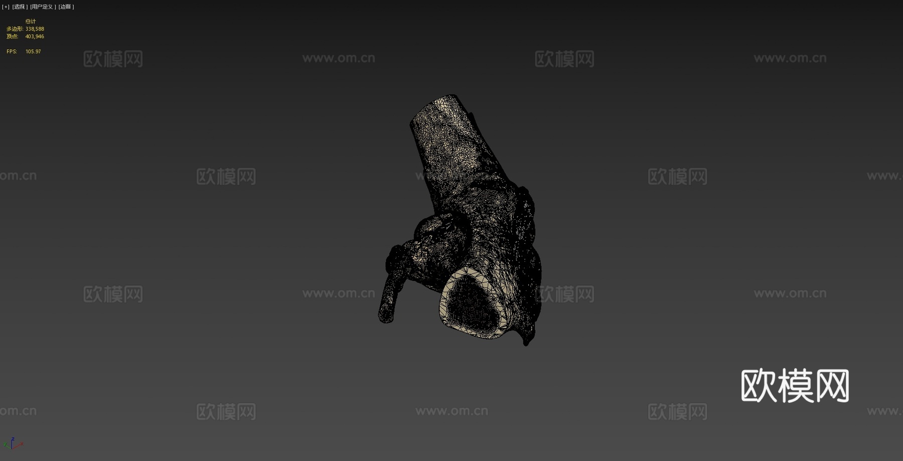 犬科动物膝关节解剖3d模型