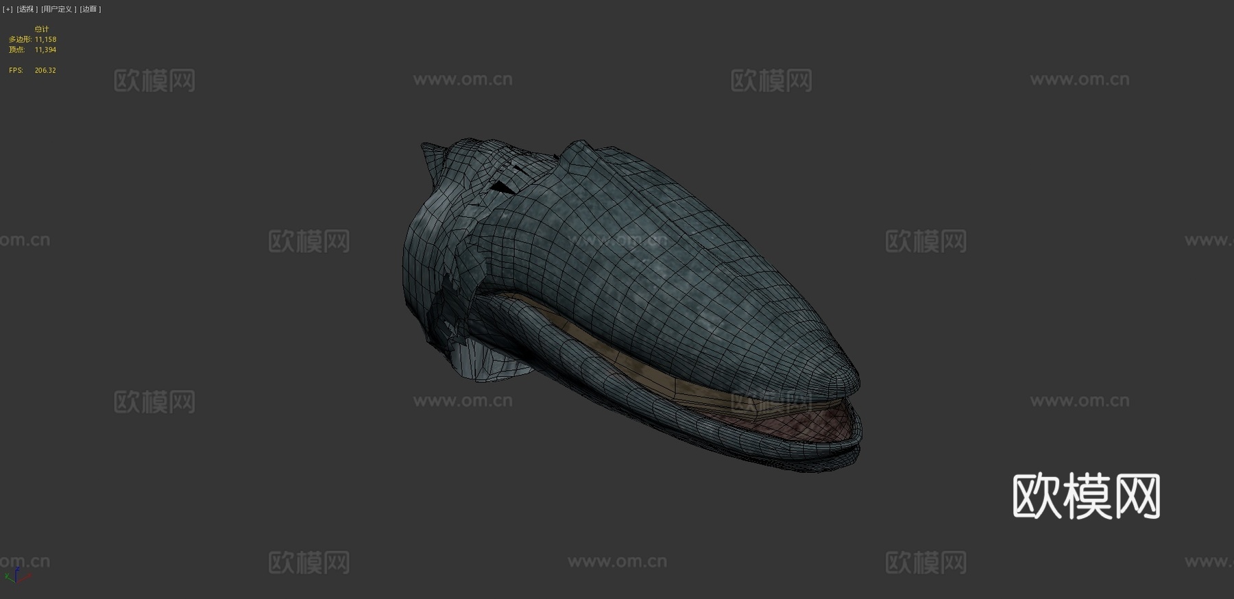 蓝鲸3d模型