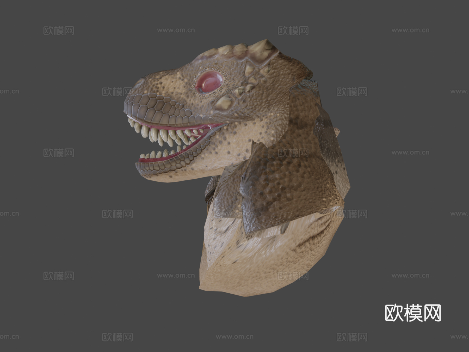 小霸王龙3d模型