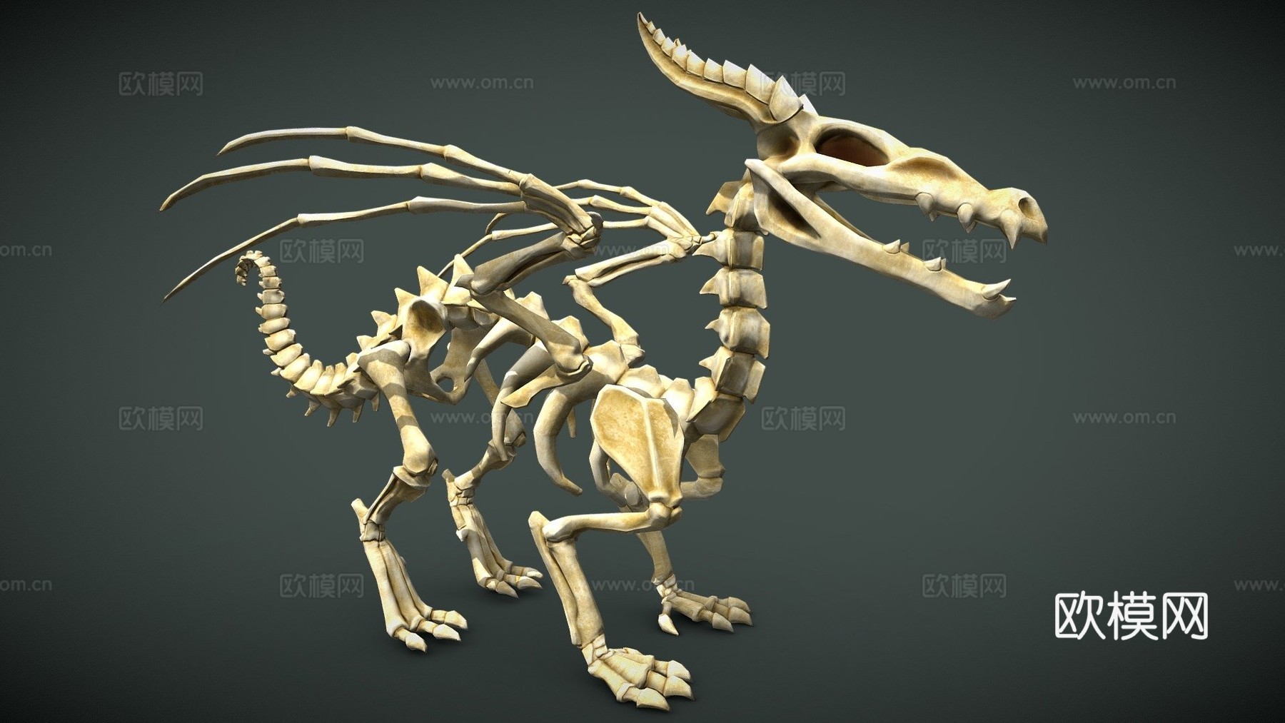 龙骨架3d模型