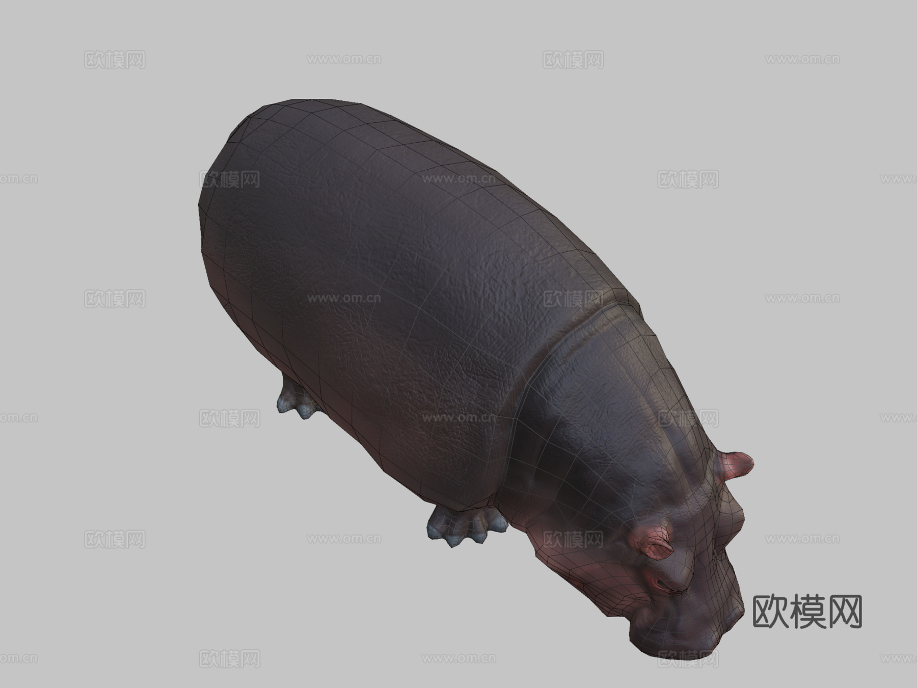 河马3d模型