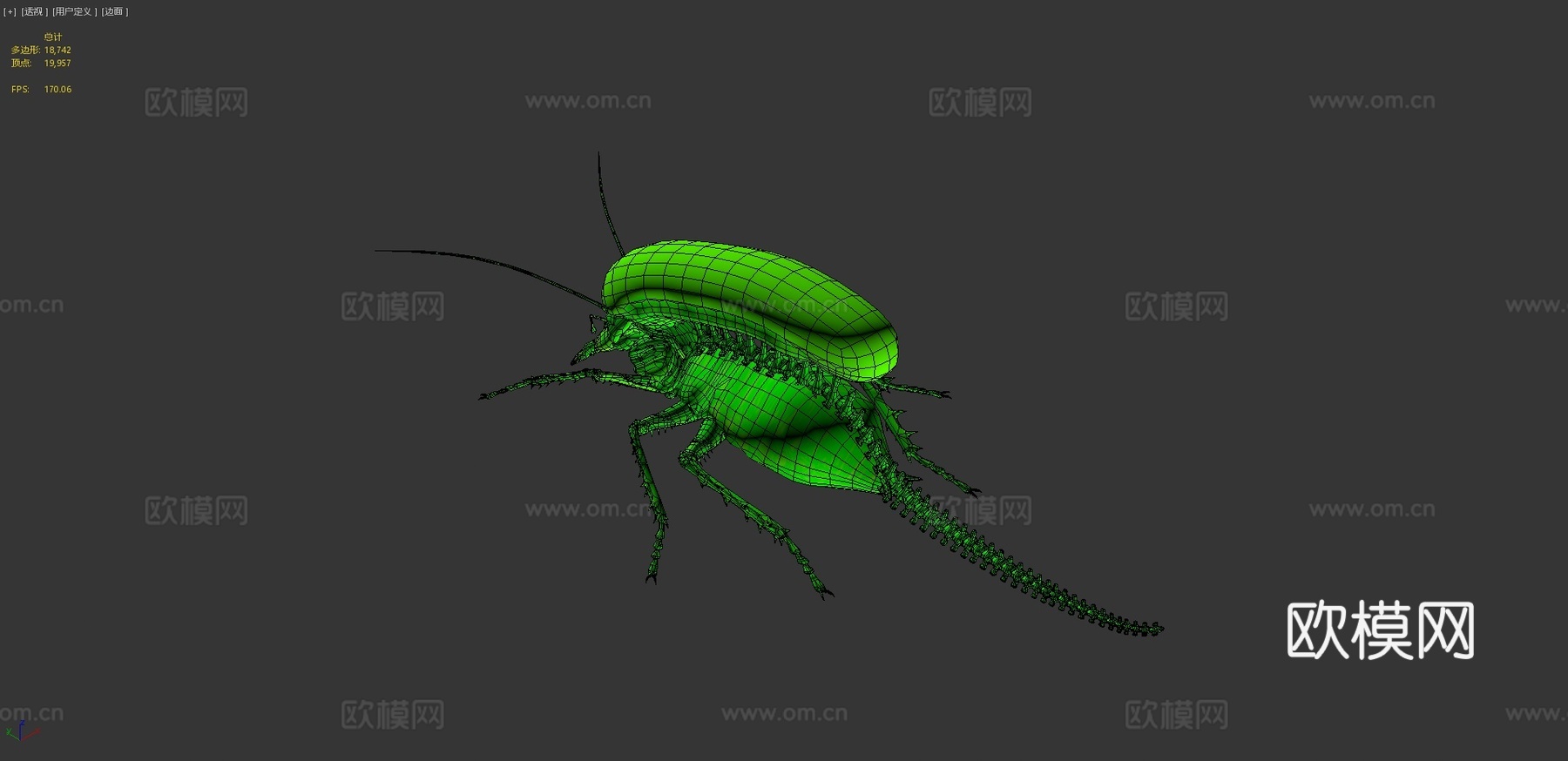 外星蟑螂3d模型