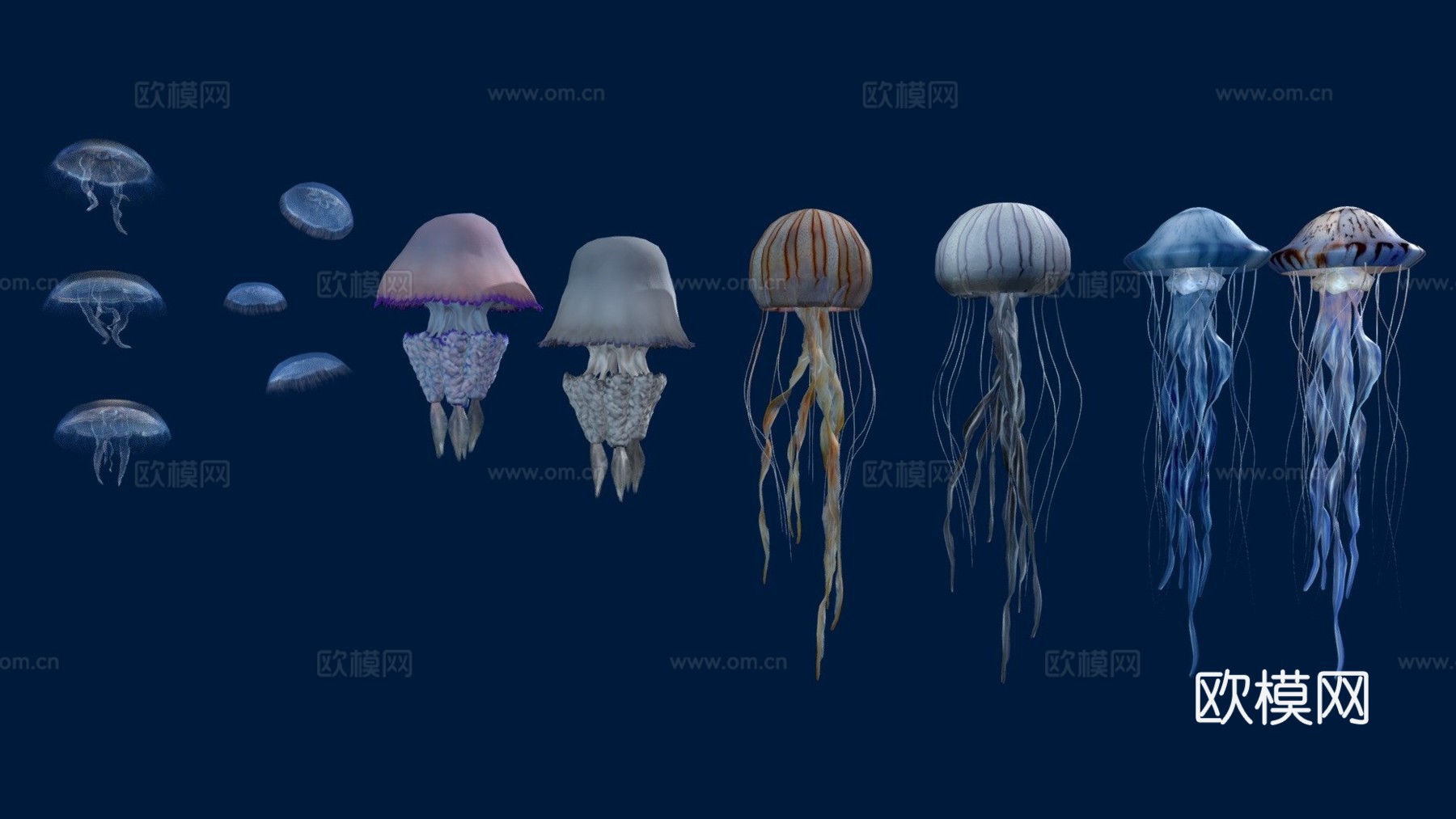 水母包53d模型