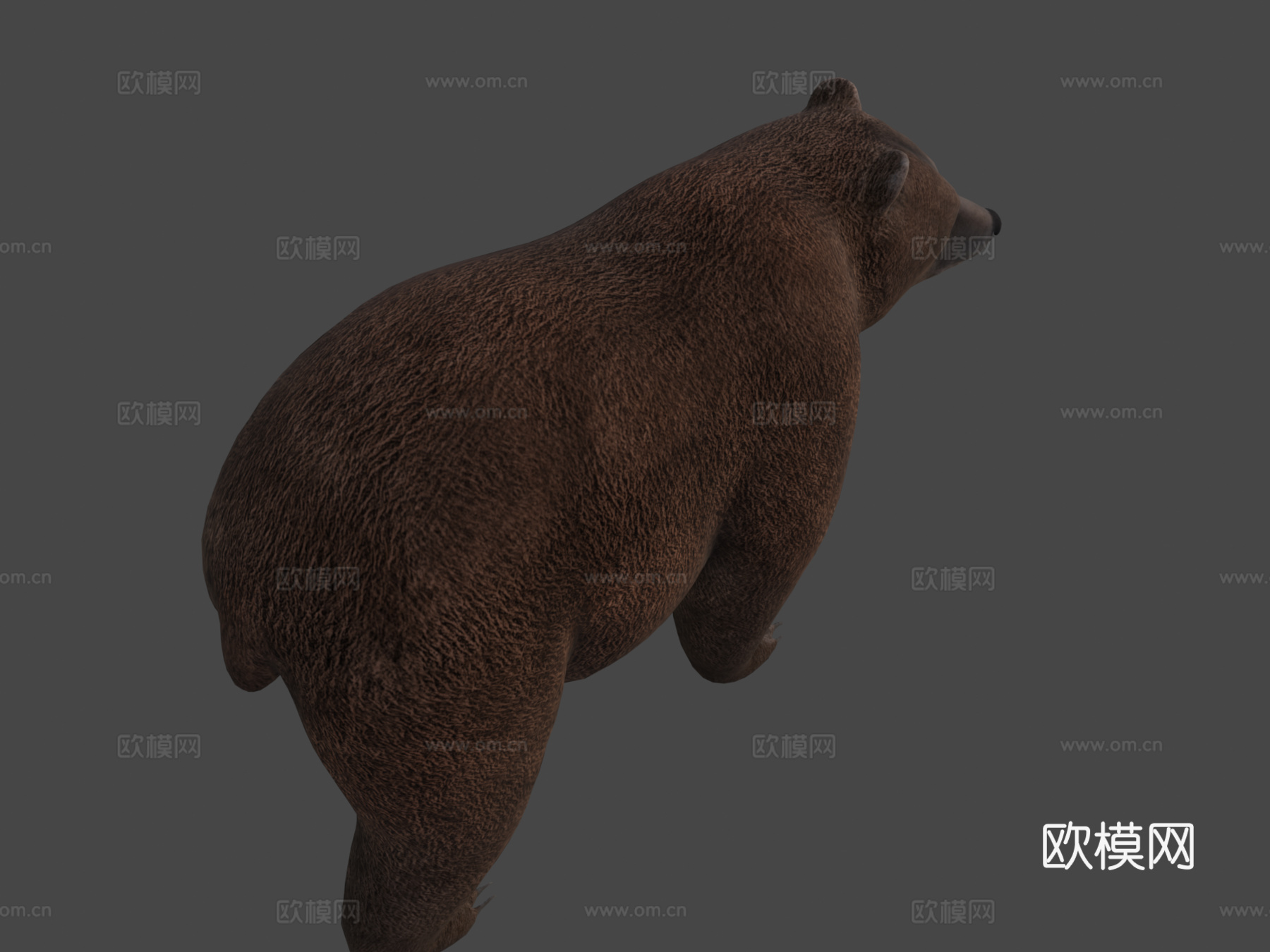 熊3d模型