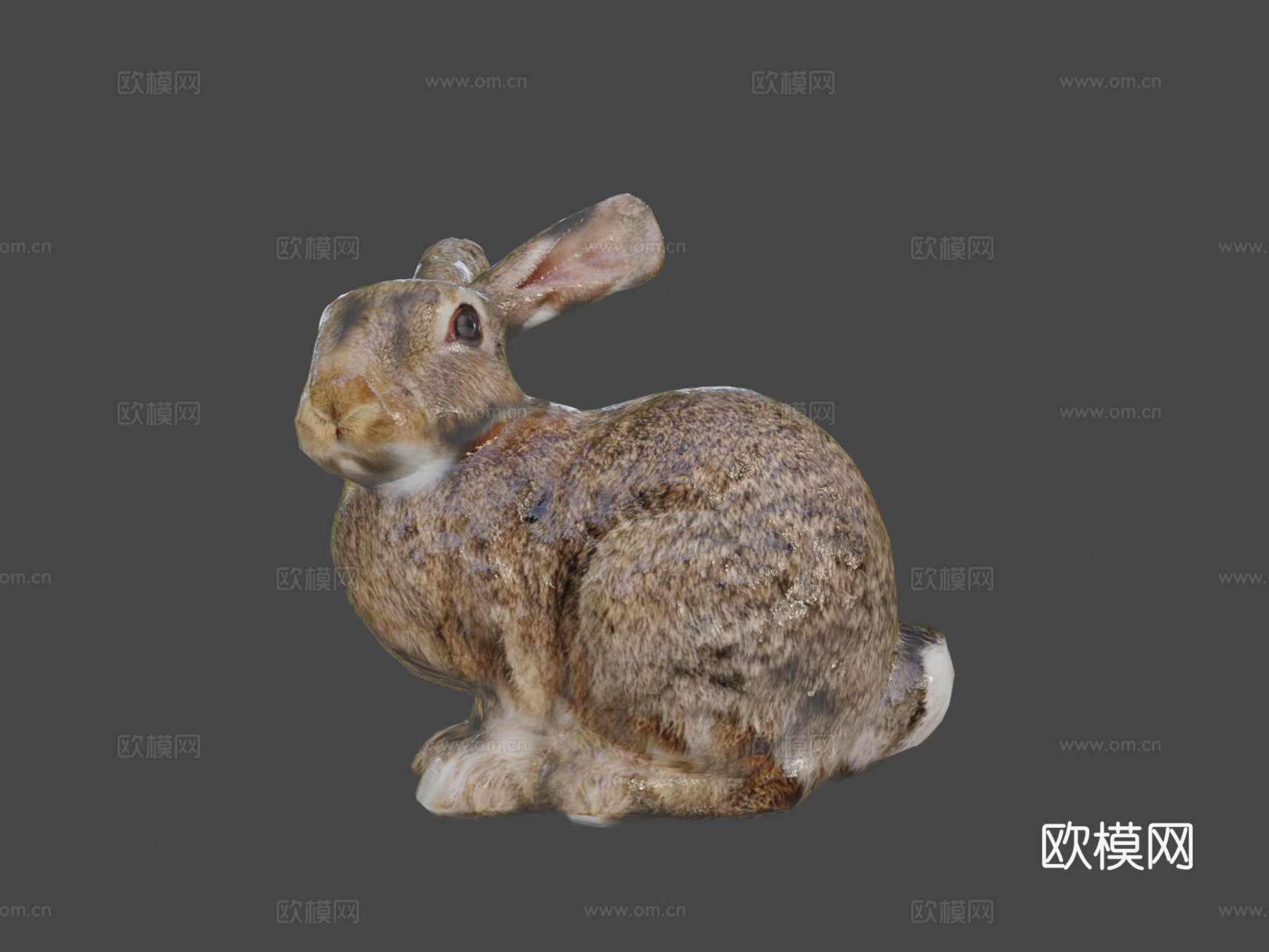 兔子3d模型