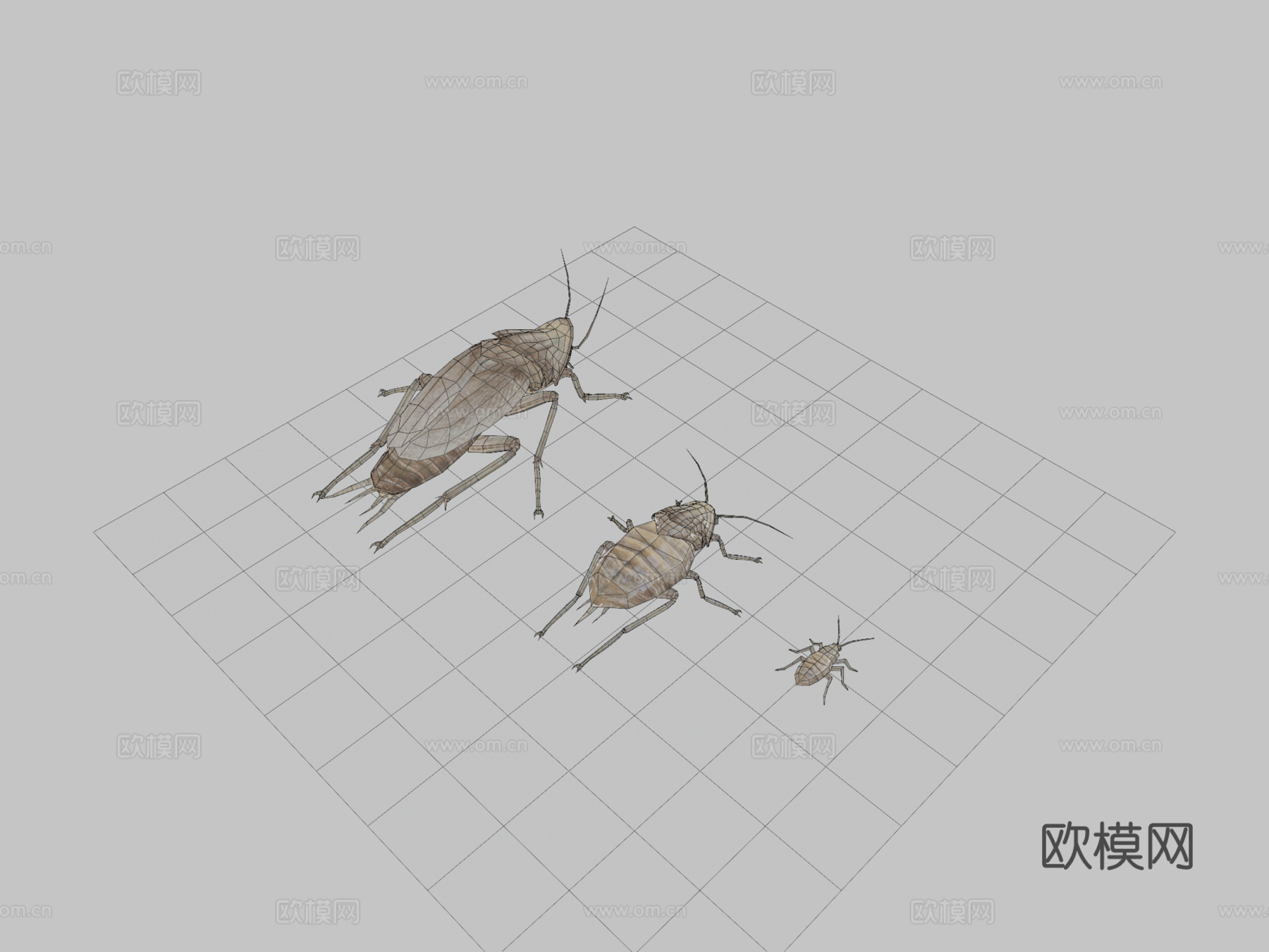 辐射再造-辐射蟑螂生命周期3d模型
