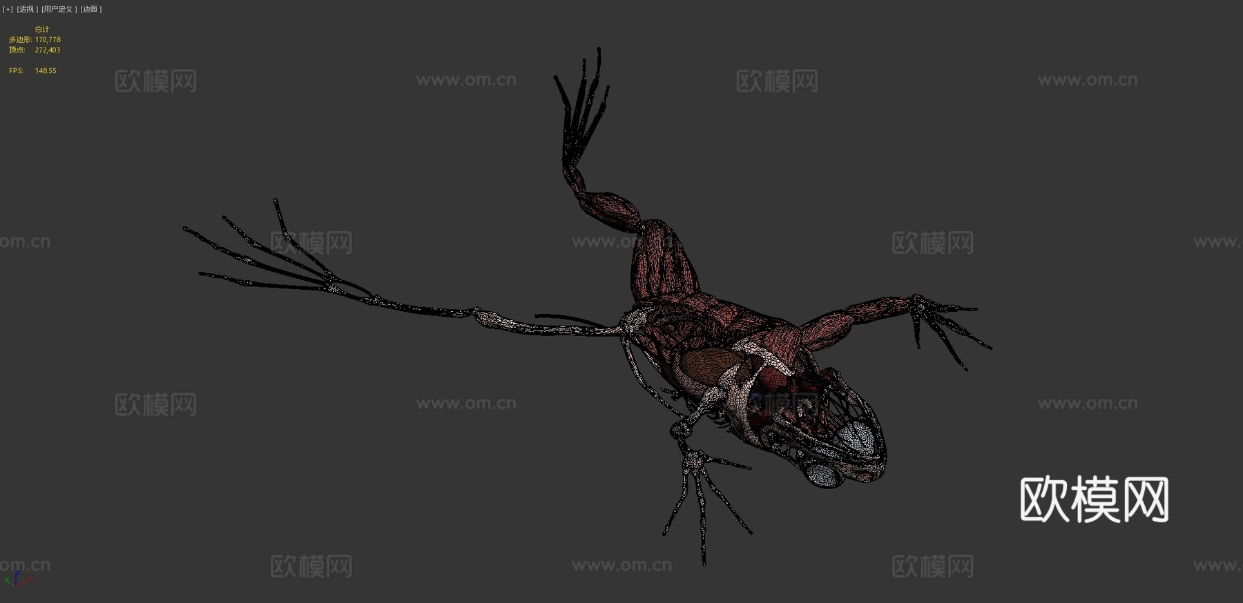 青蛙结构3d模型