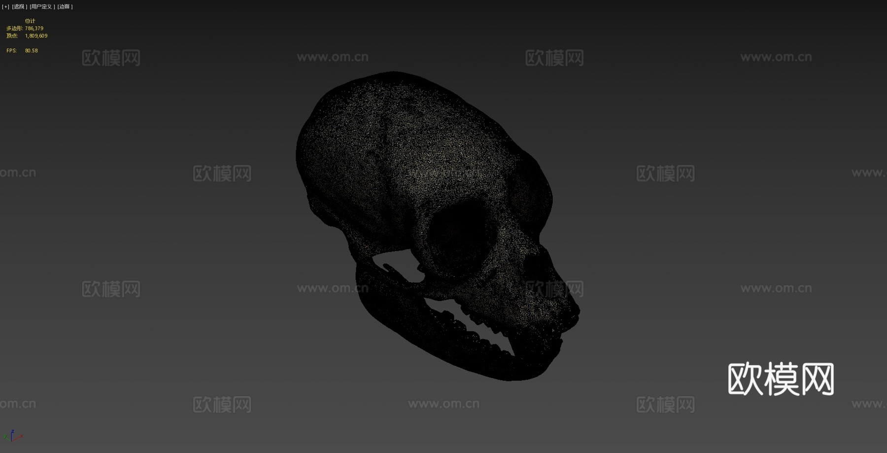 白腹蜘蛛猴头骨与下颌骨3d模型3d模型