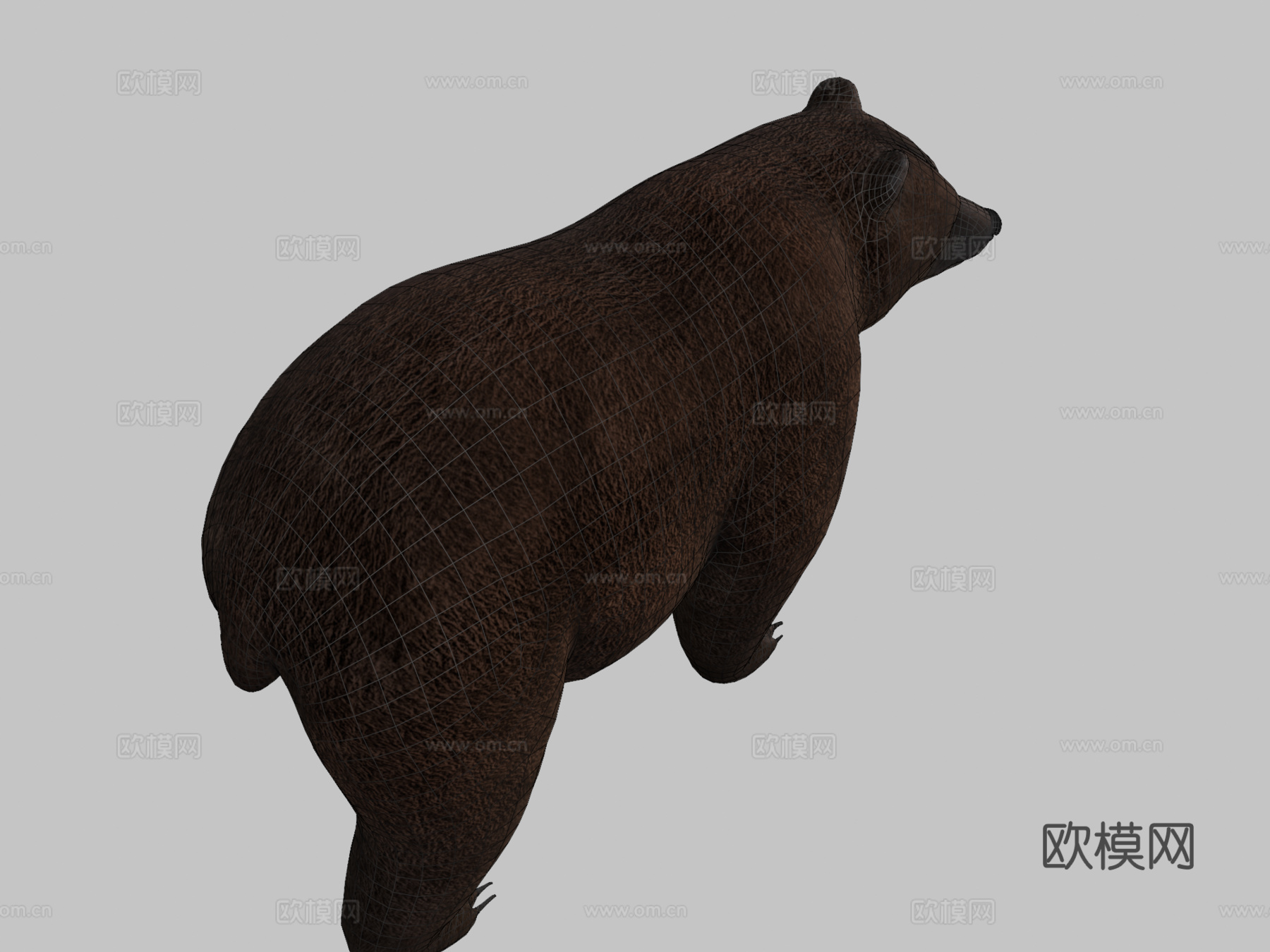 熊3d模型