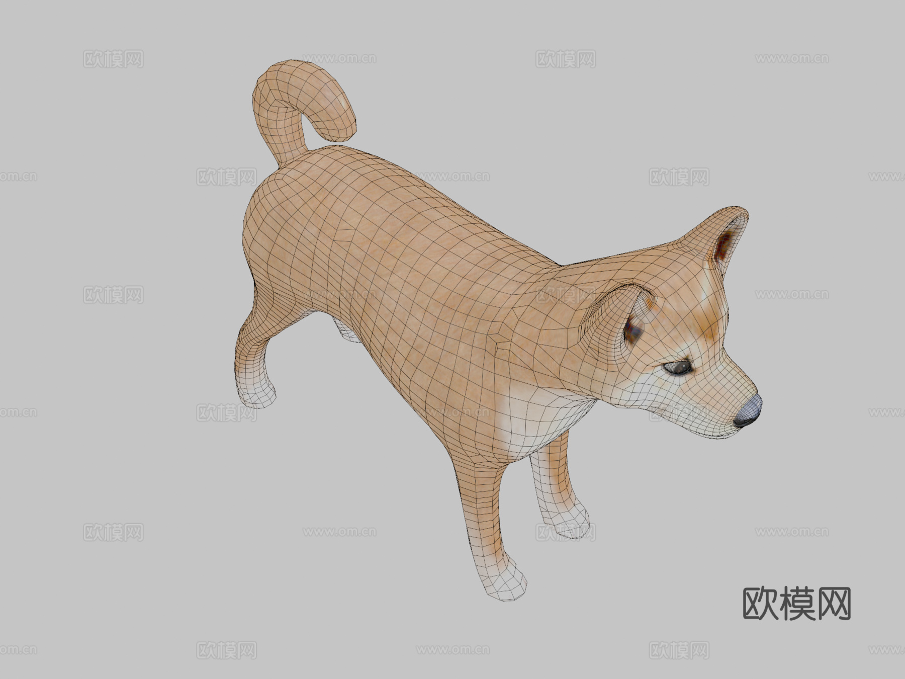 狗狗币3d模型3d模型