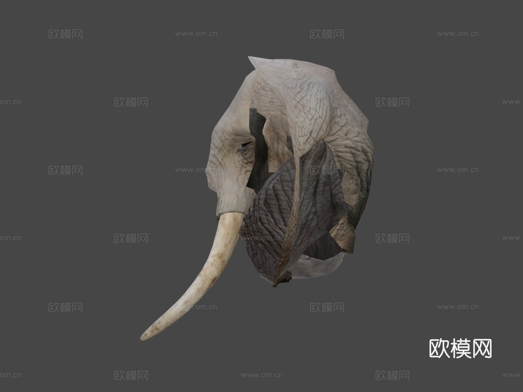 动物界-非洲象3d模型
