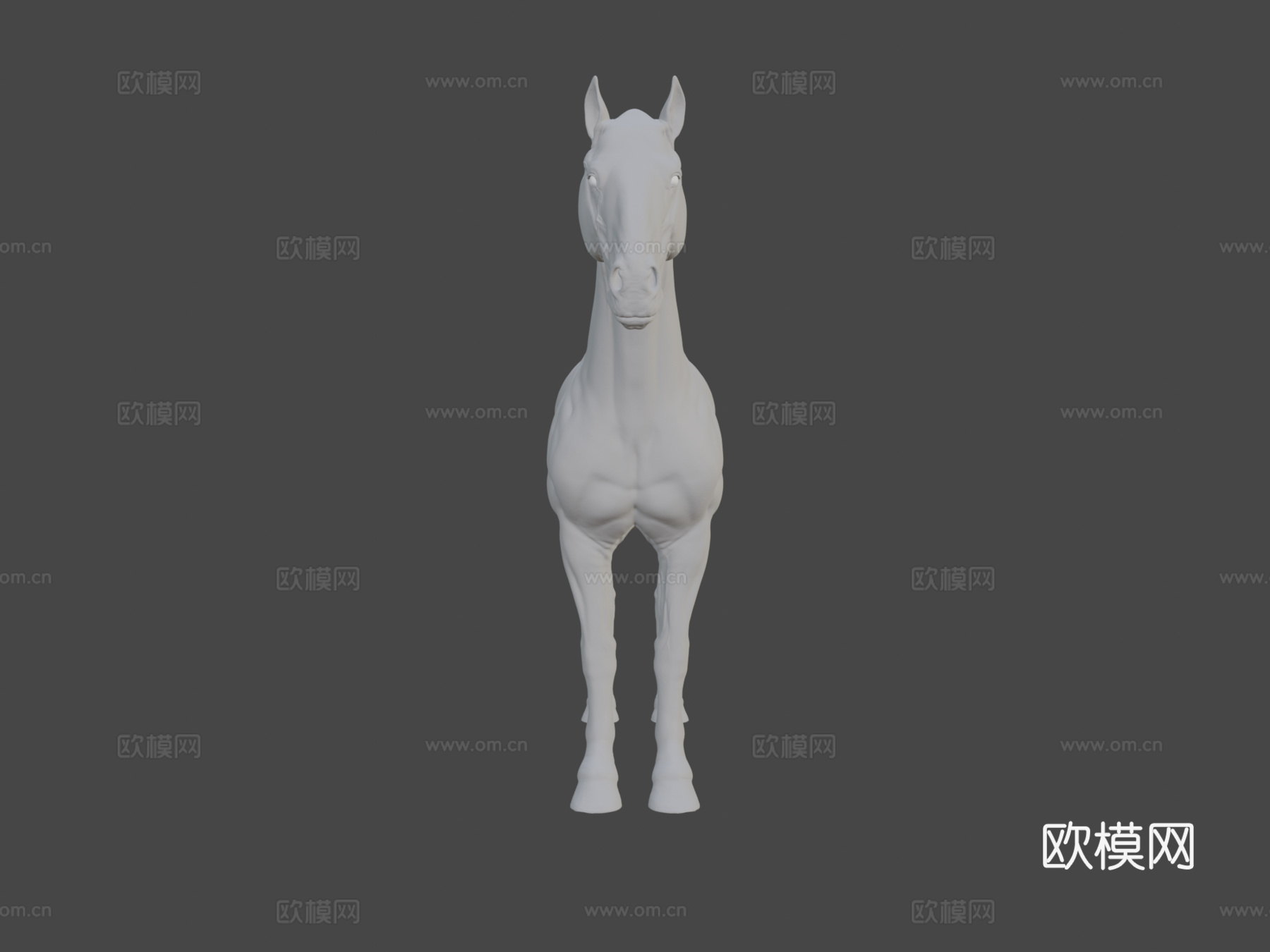 马解剖皮肤高多边形模型3d模型