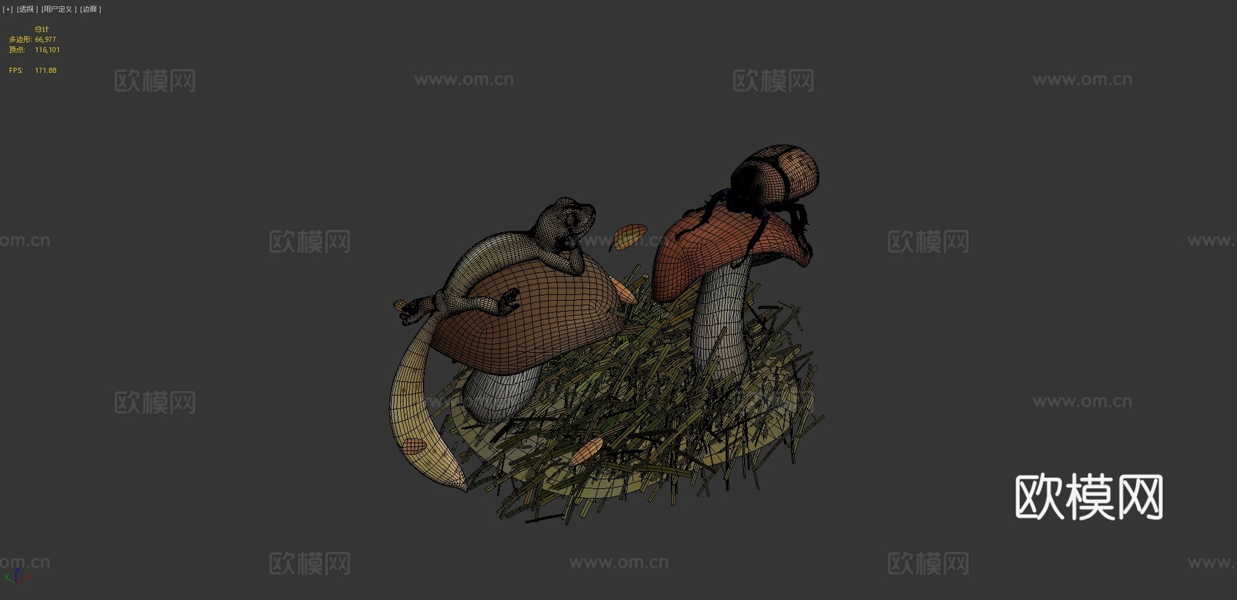 蝾螈3d模型