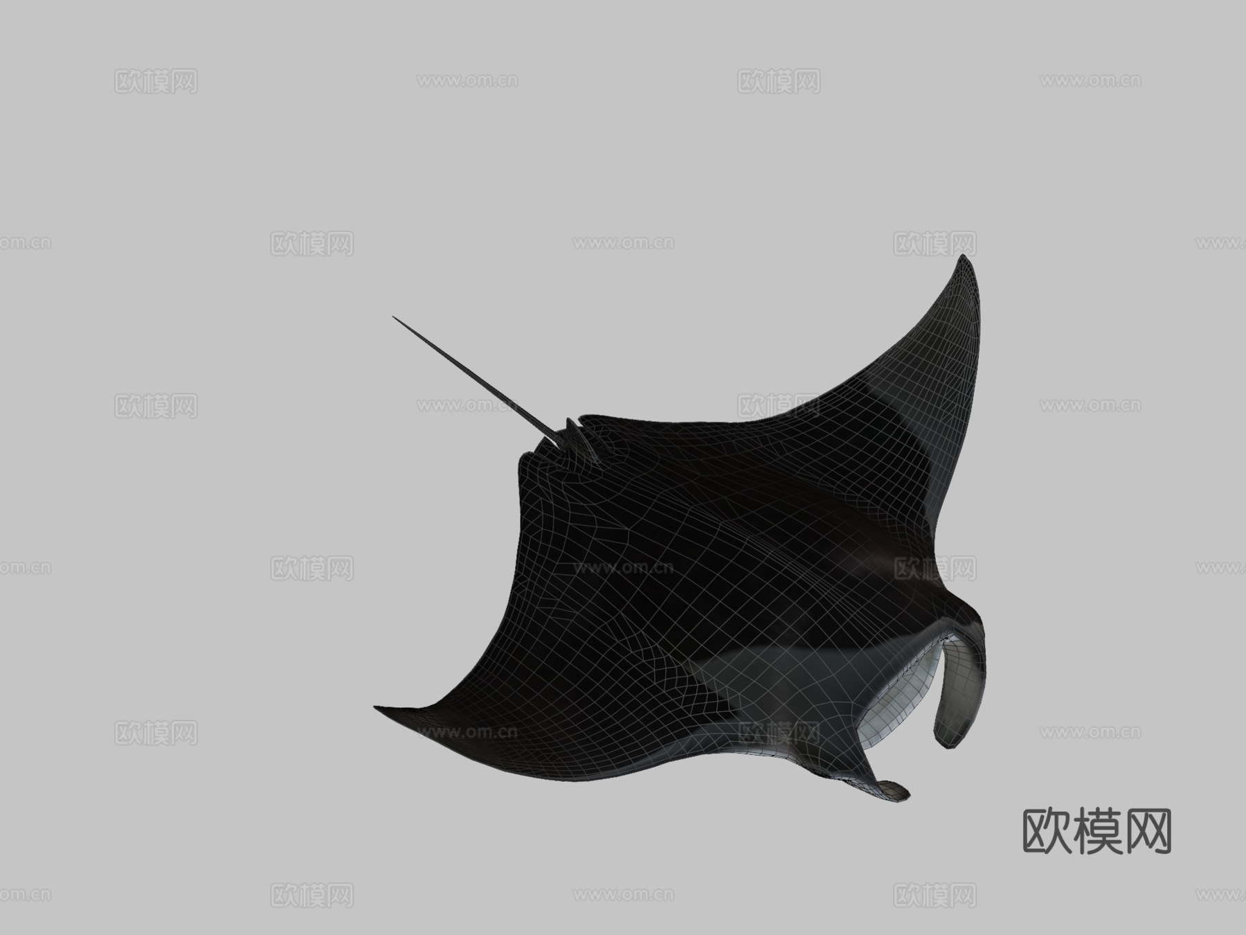 蝠鲼3d模型