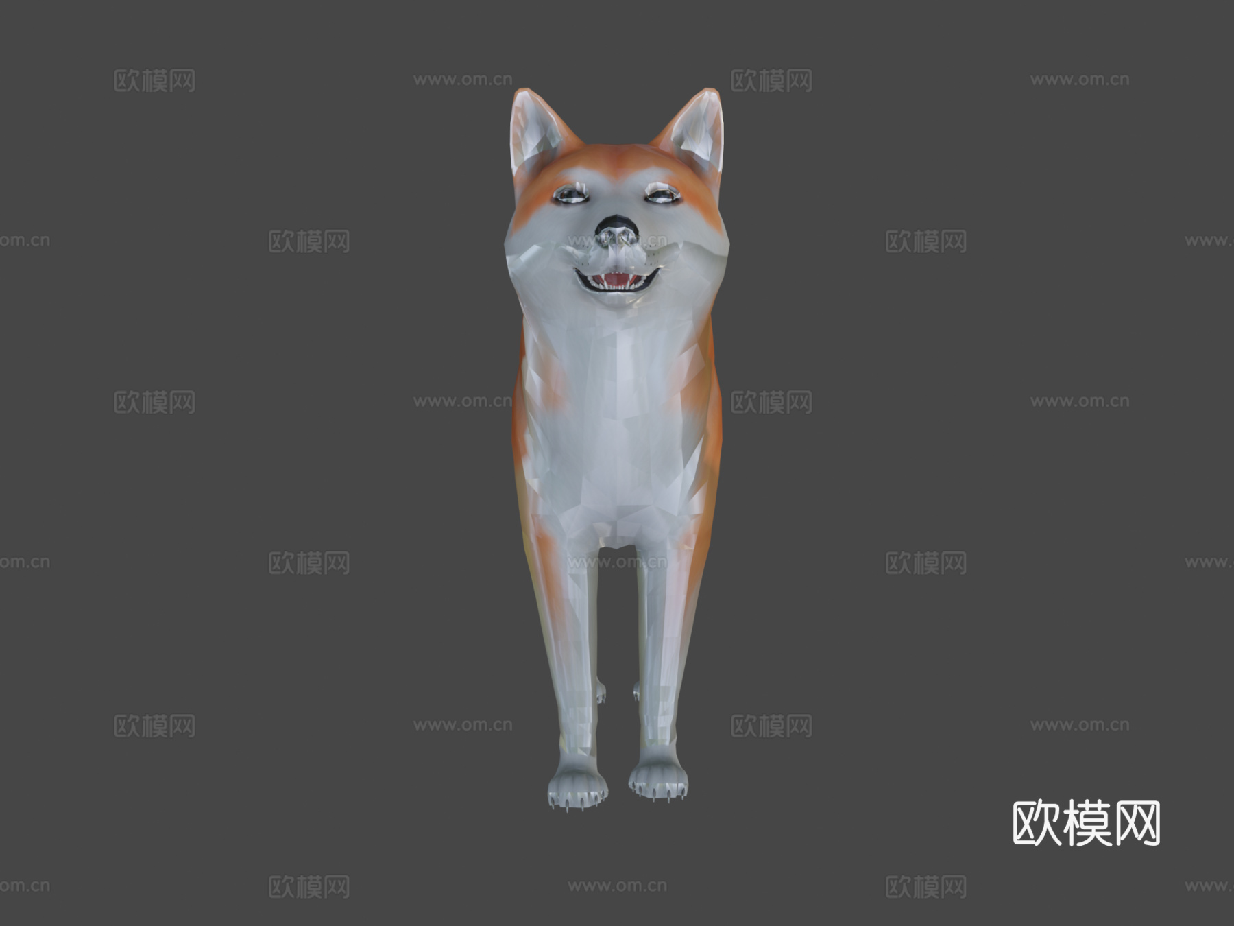 秋田犬3d模型