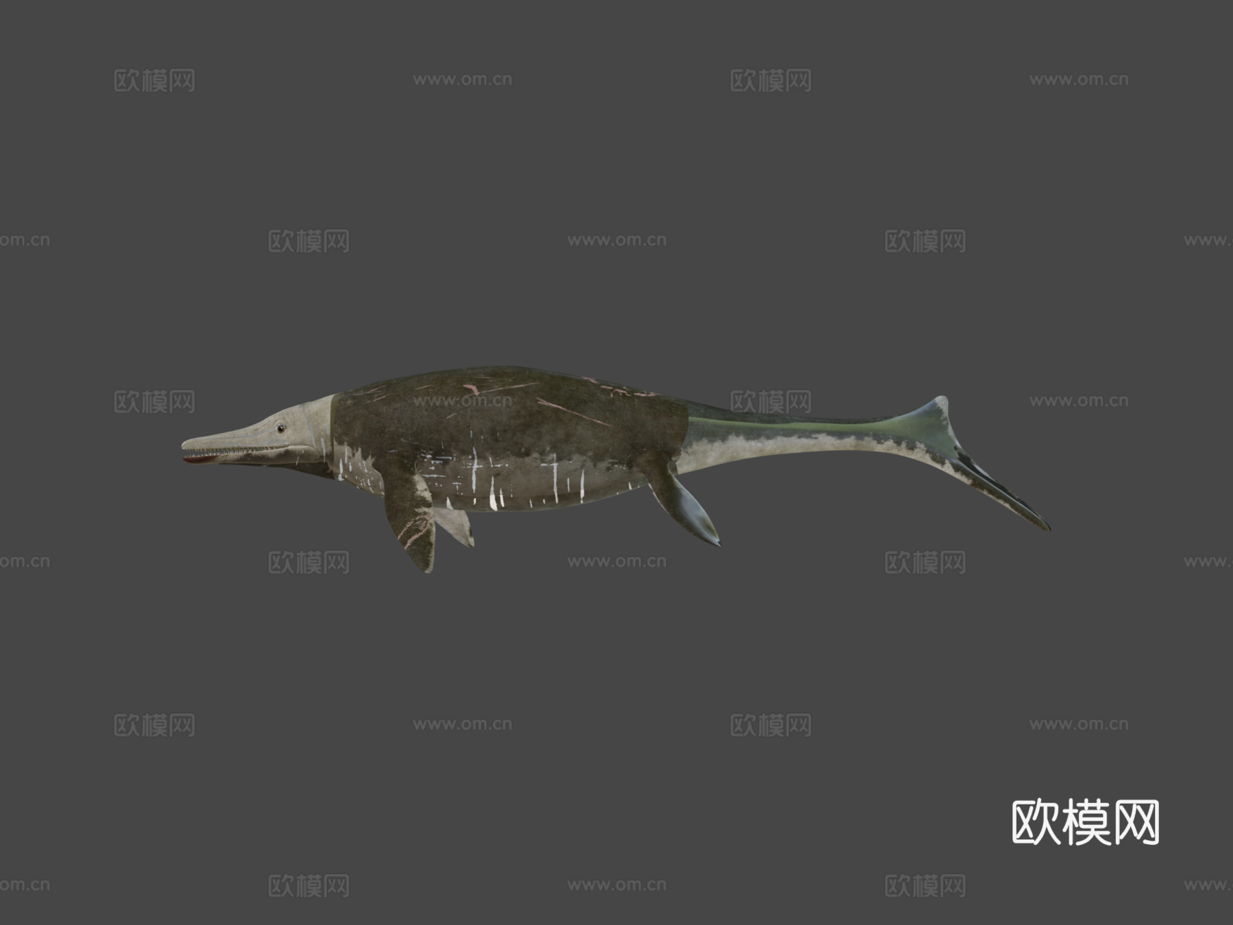 鱼龙3d模型