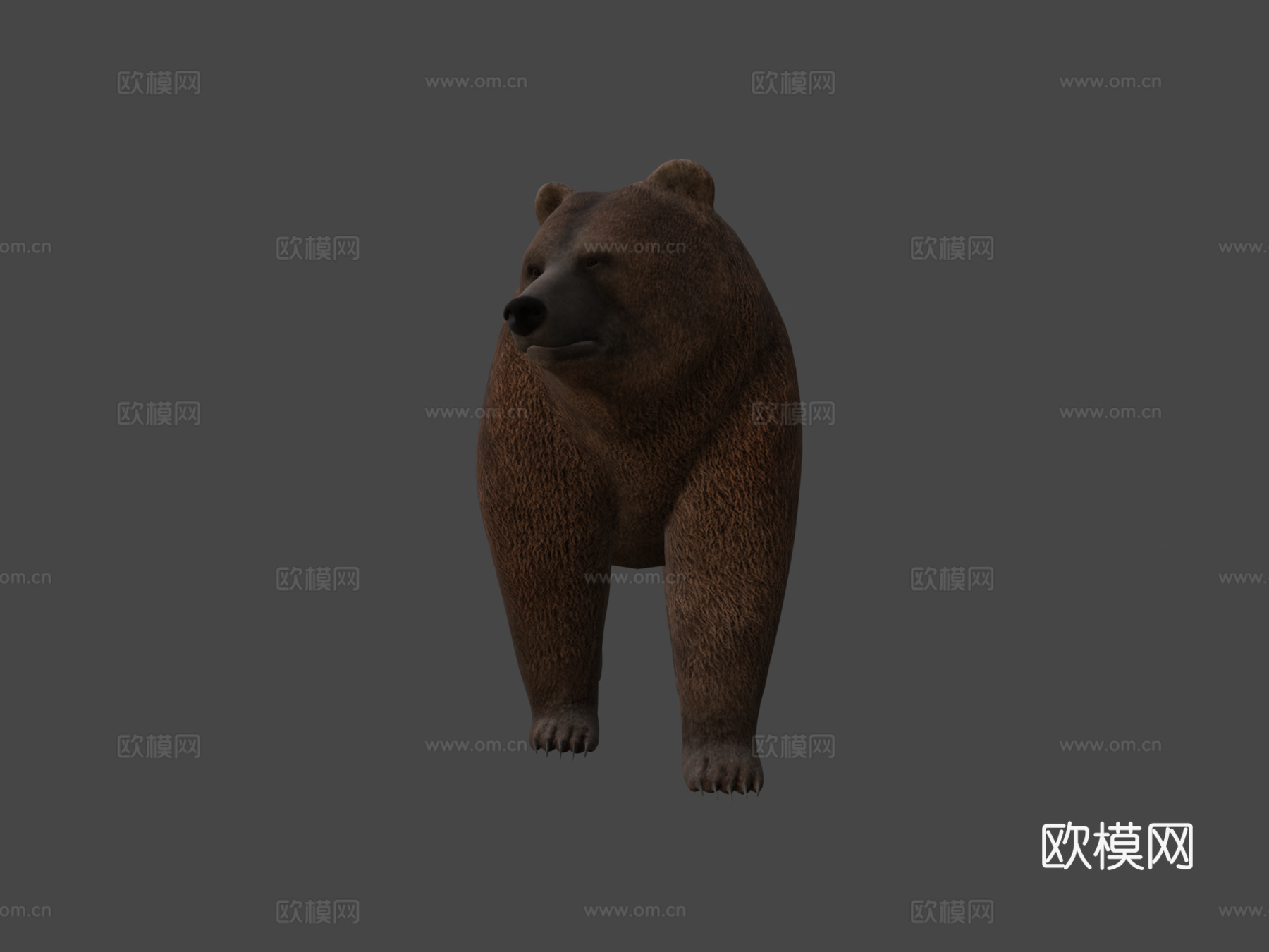 熊3d模型