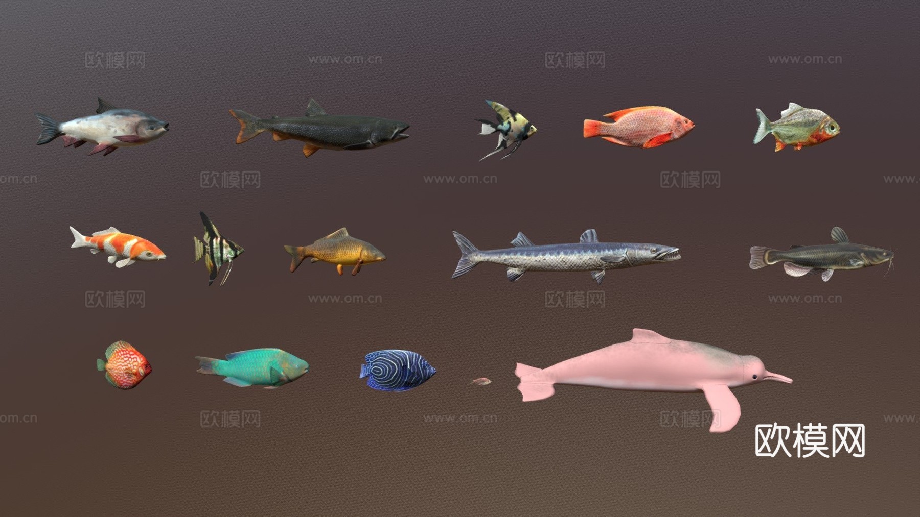 种淡水鱼包-低多边形动物3d模型