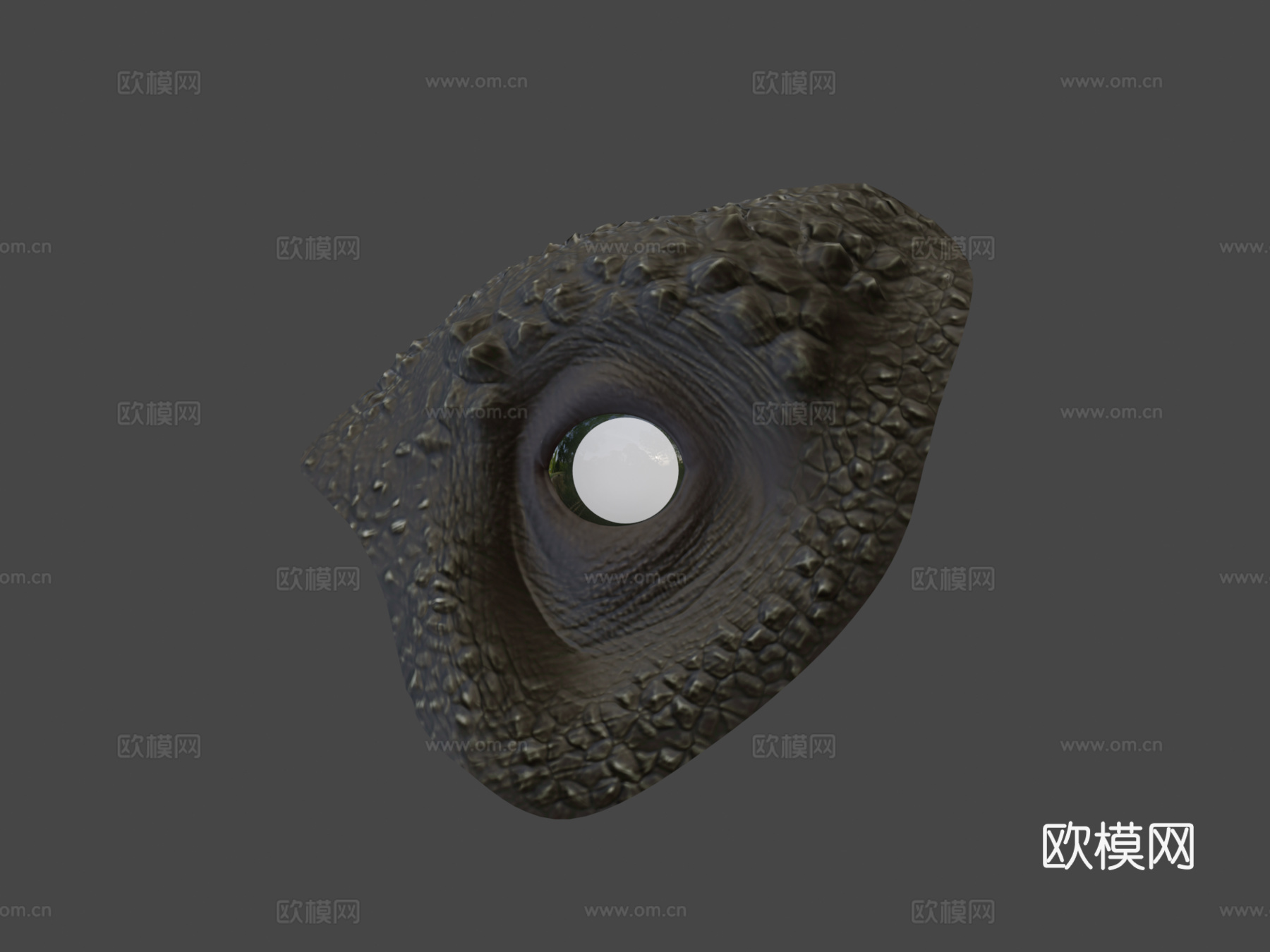 眼睛虹膜动画测试3d模型